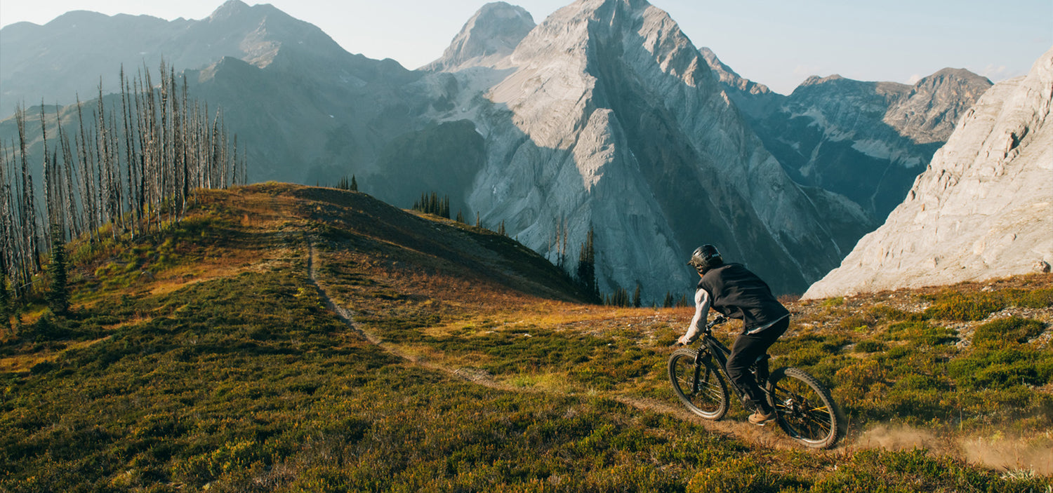 The Bike Shop