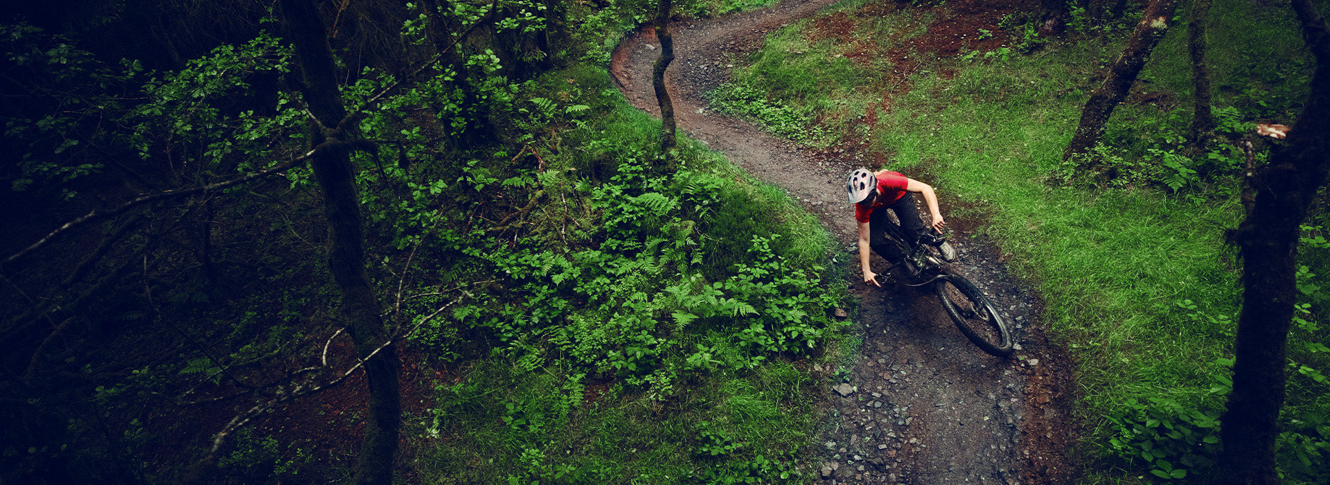 Cannondale Mountain Bikes
