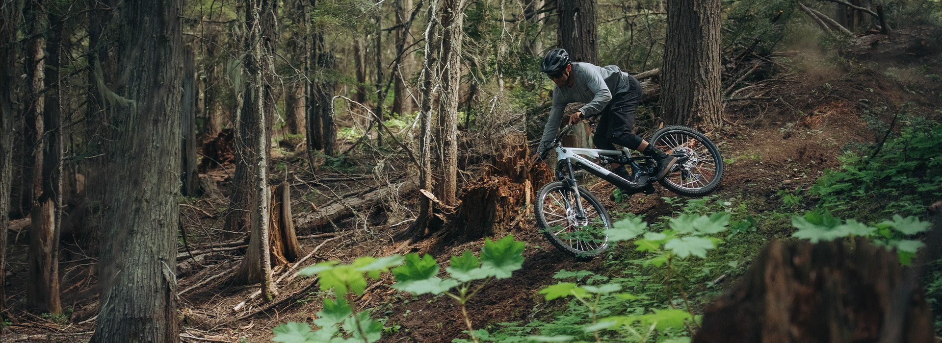Rocky Mountain Electric Bikes