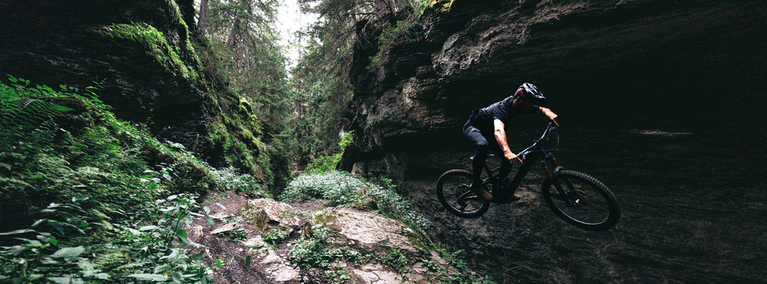 Specialized Levo R