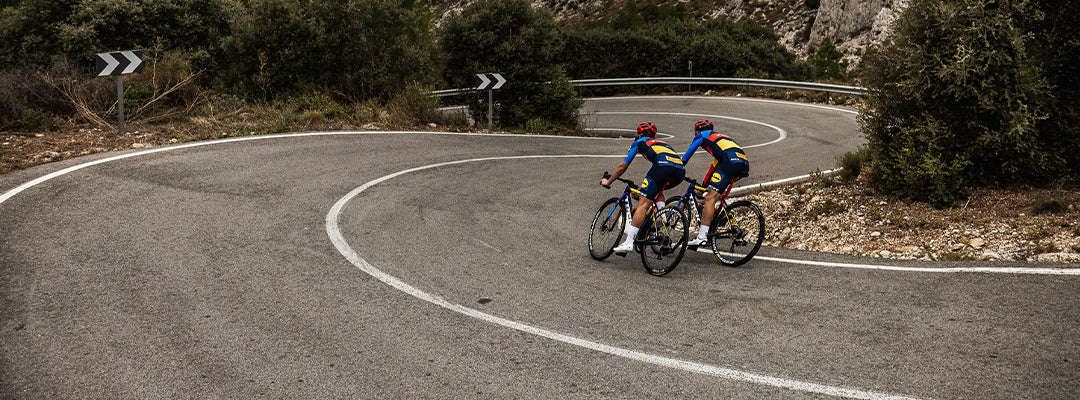Trek Road Bikes