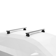 Evo Fixed Point