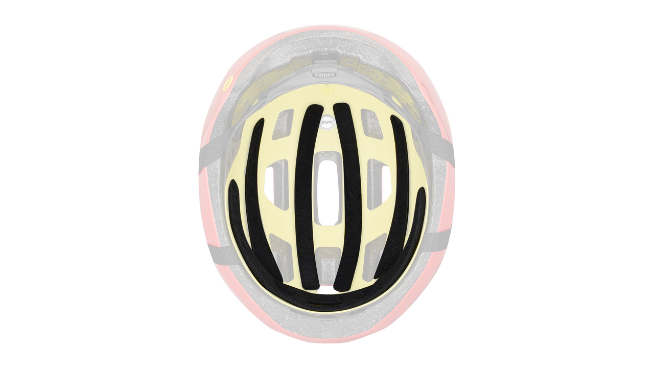 2024 | Align II