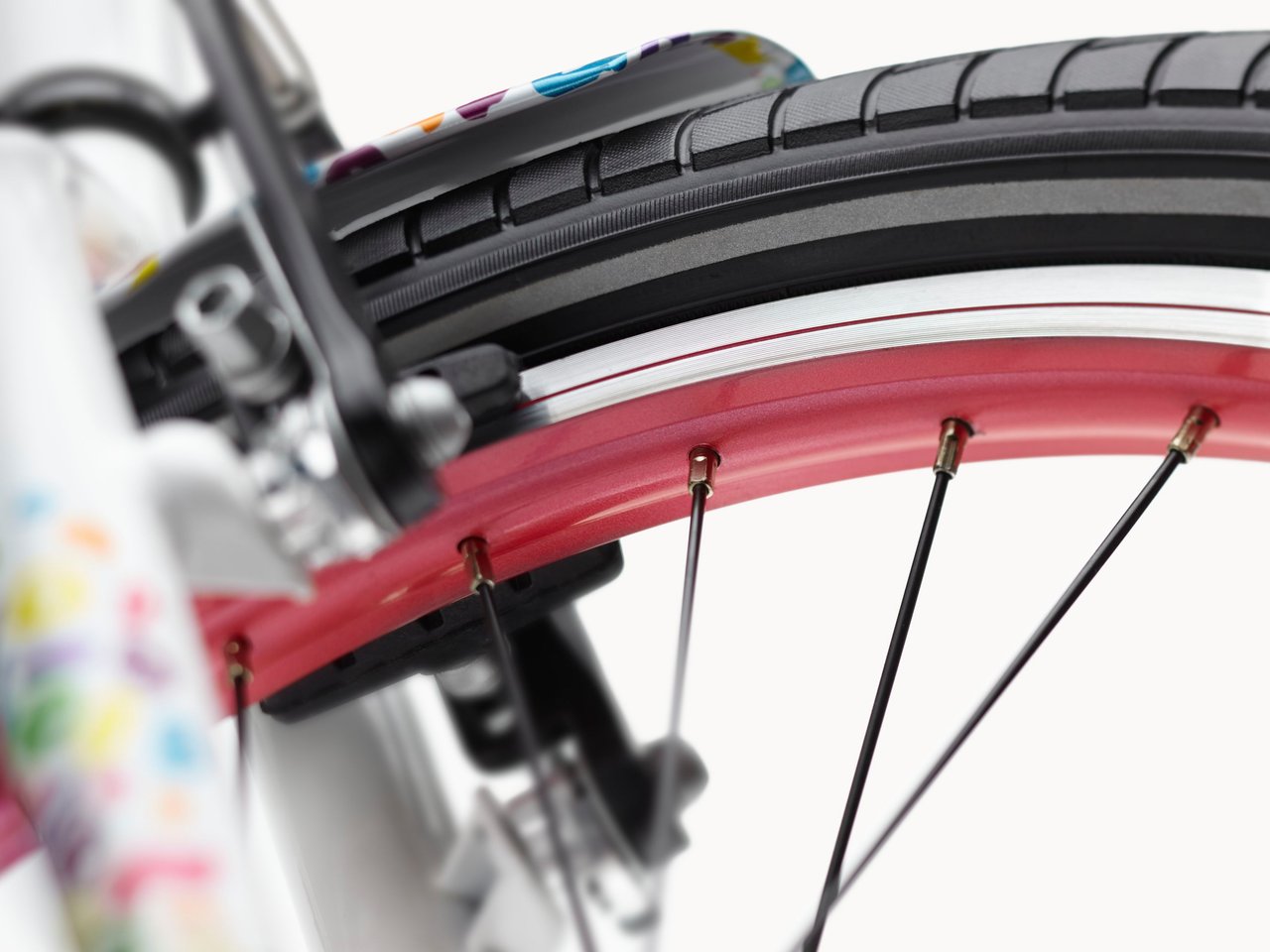 2025 | Cat's Meow Sprocket 20"