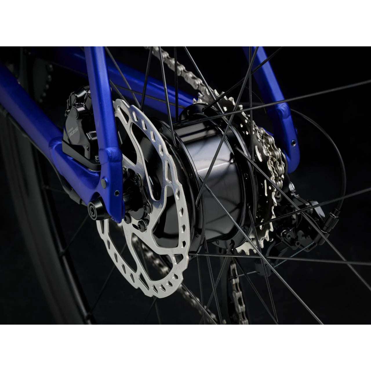 2025 | Domane+ AL 5