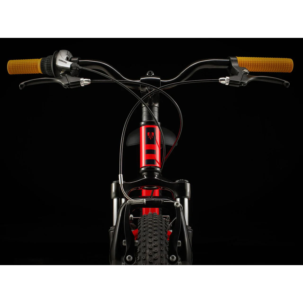 2025 | Precaliber 20 7-speed