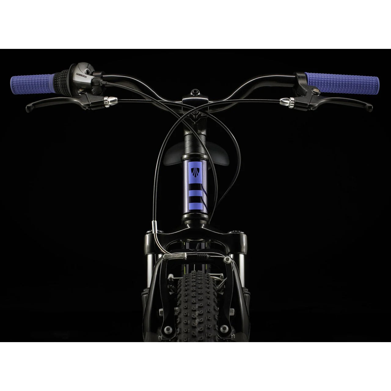 2025 | Precaliber 20 7-speed