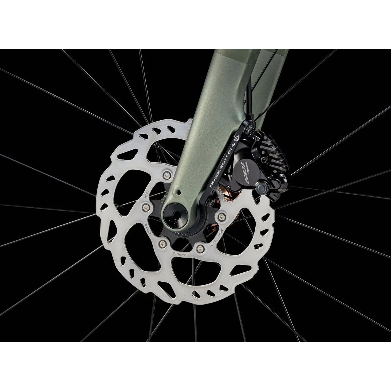 2025 | Domane AL 5 Gen 4