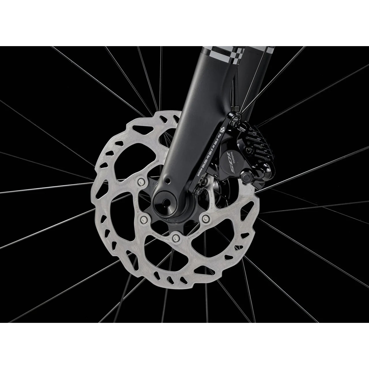 2025 | Domane AL 5 Gen 4