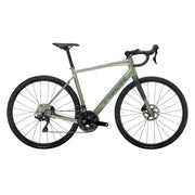 2025 | Domane AL 5 Gen 4