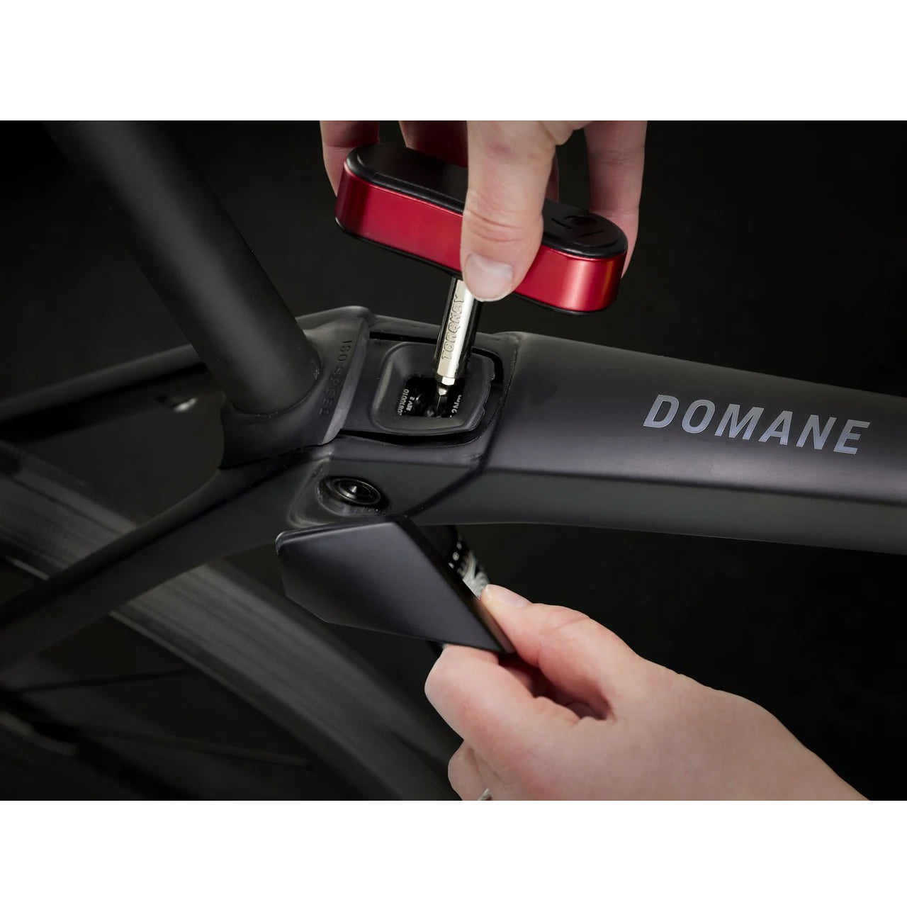 2025 | Domane SL 5 Gen 4