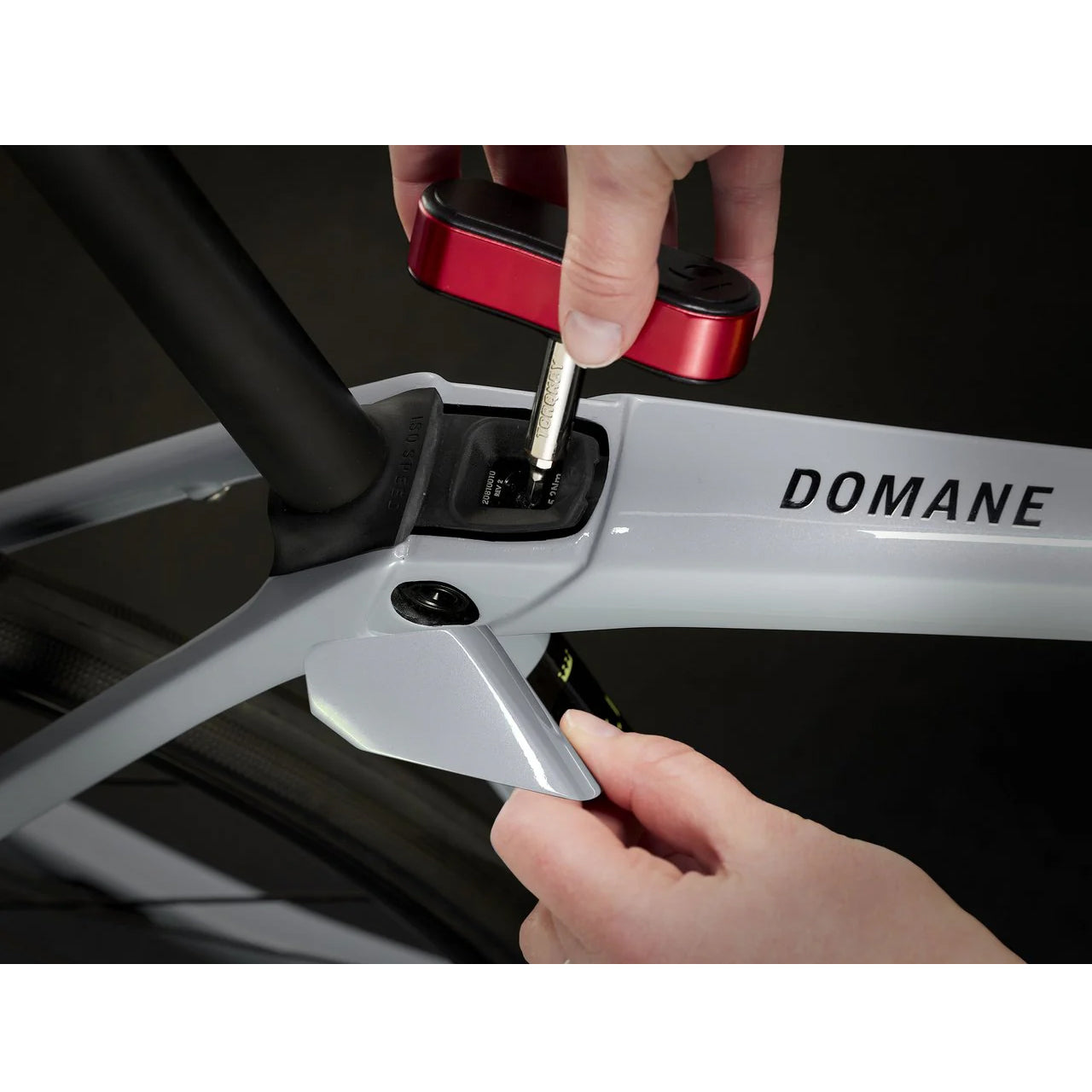 2025 | Domane SL 5 Gen 4
