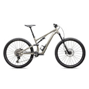 2025 | Stumpjumper 15 Alloy