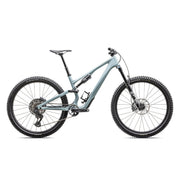2025 | Stumpjumper 15 Comp