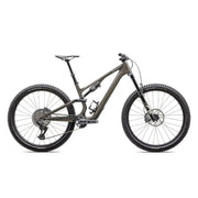 2025 | Stumpjumper 15 Expert