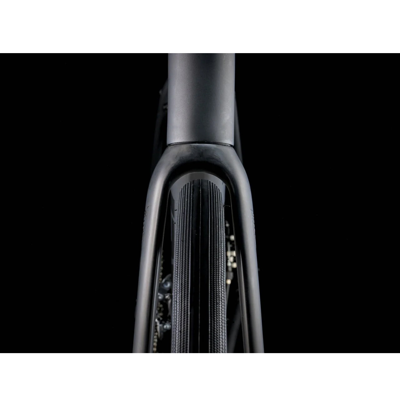2025 | Domane AL 2 Gen 4