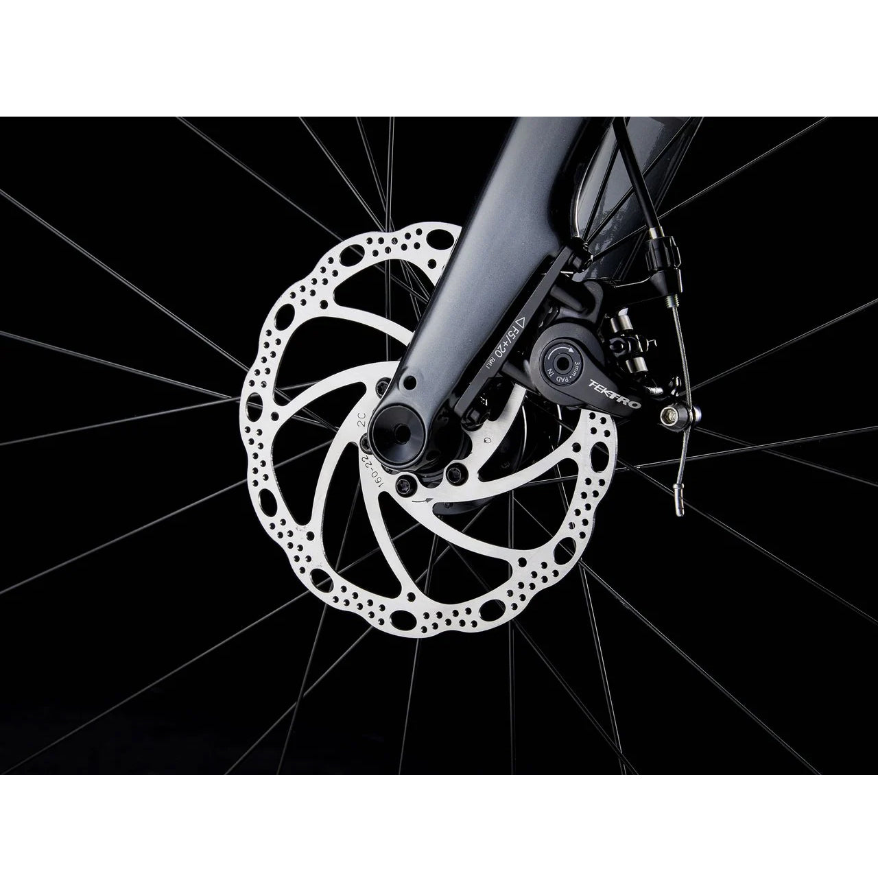 2025 | Domane AL 2 Gen 4