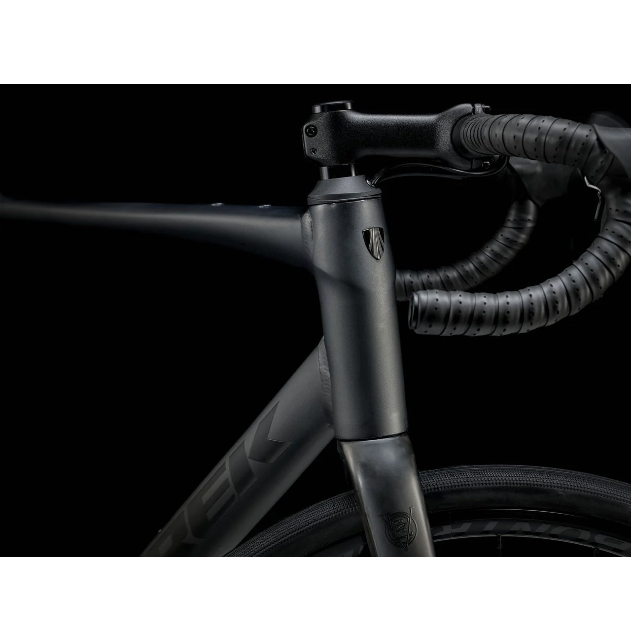 2025 | Domane AL 2 Gen 4