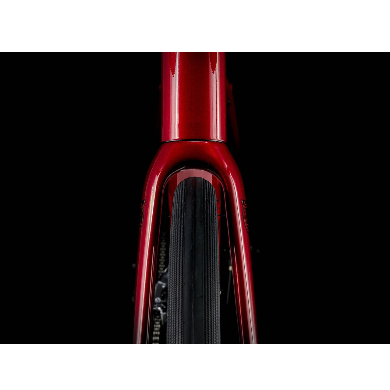 2025 | Domane AL 2 Gen 4