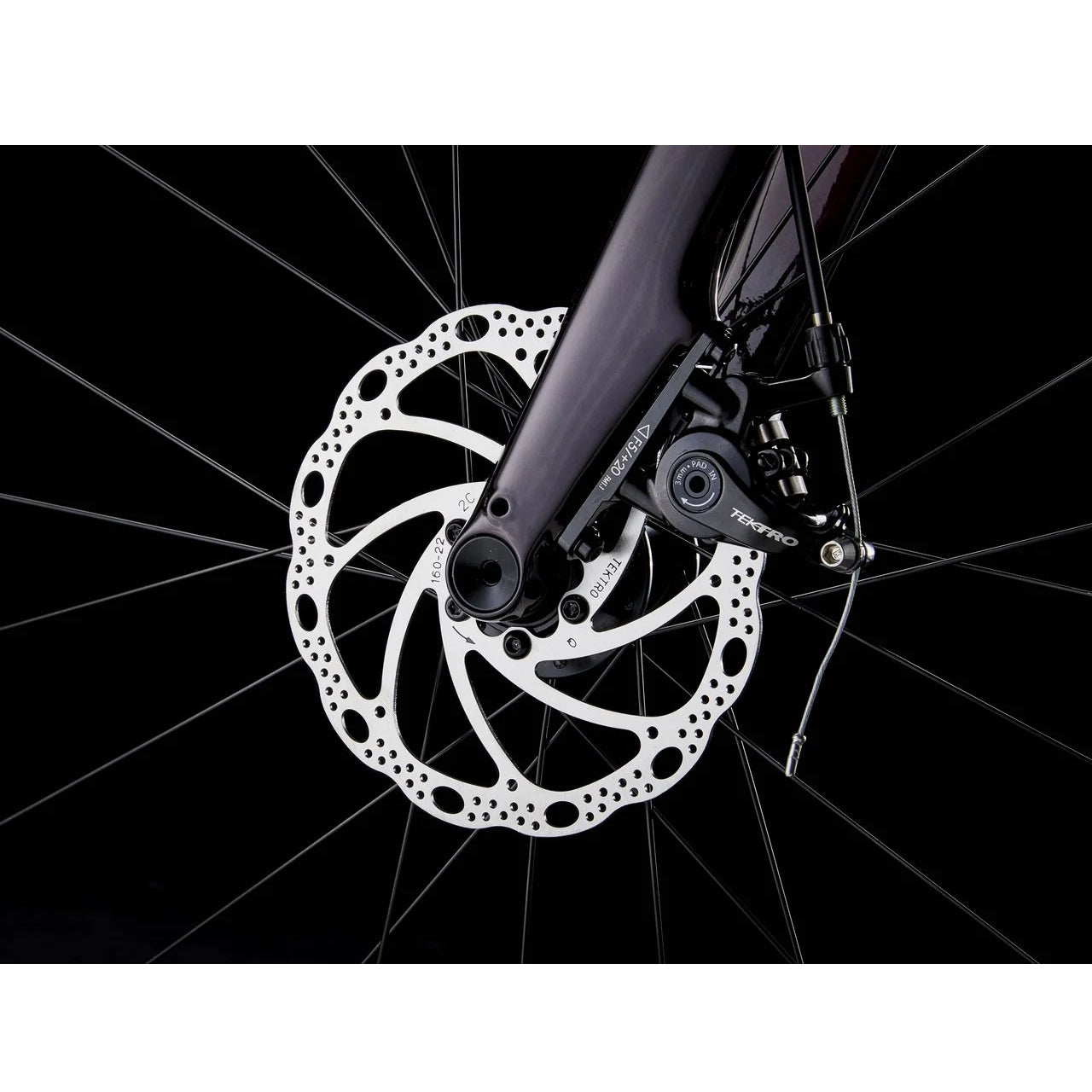 2025 | Domane AL 2 Gen 4