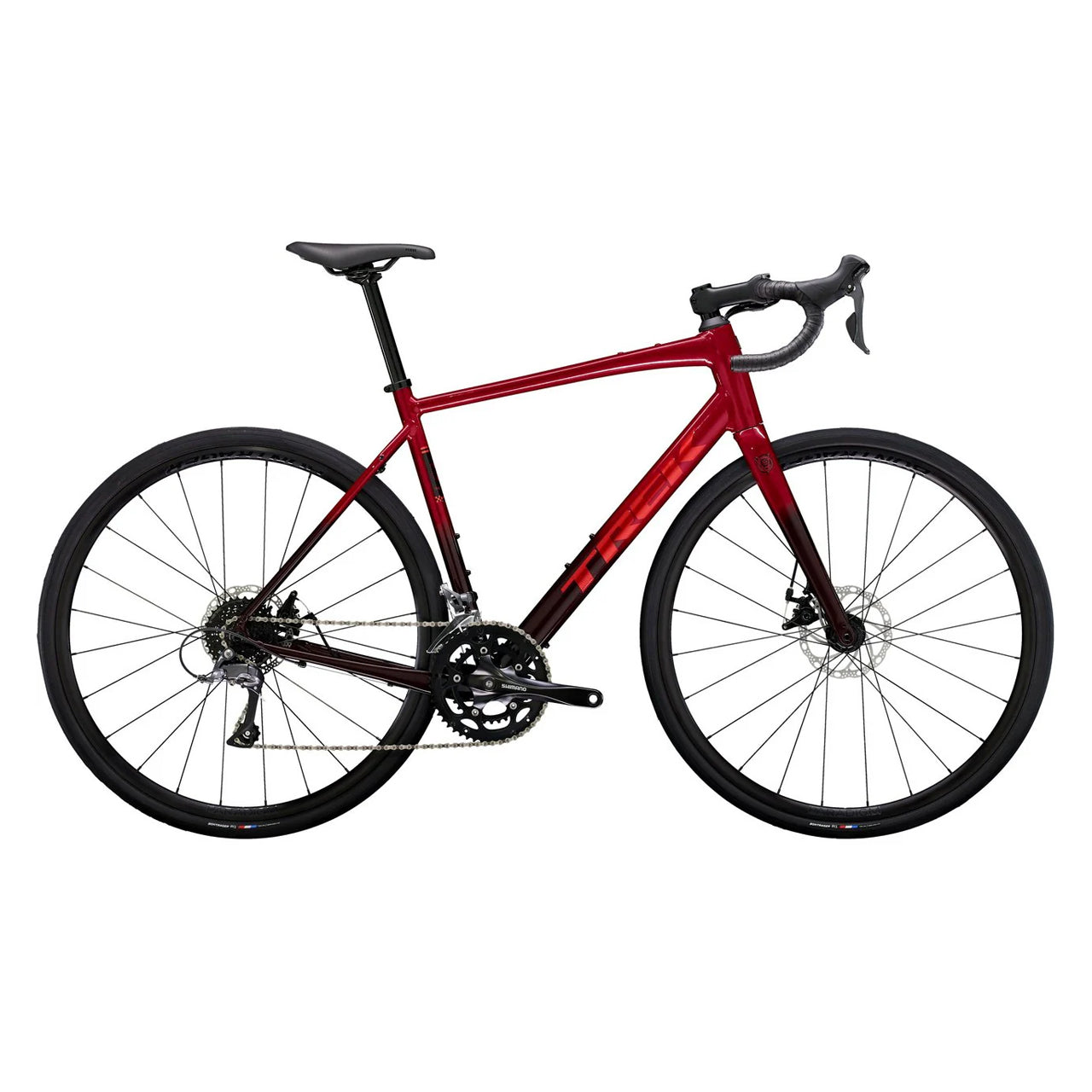 2025 | Domane AL 2 Gen 4