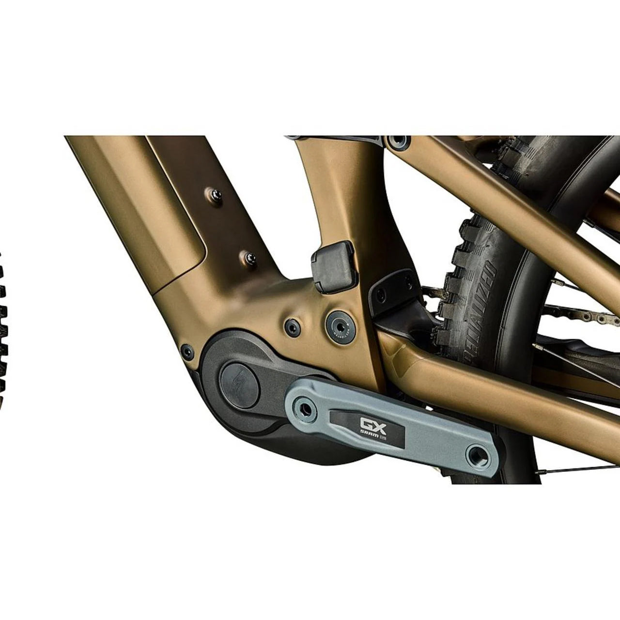 2026 | Turbo Levo 4 Expert