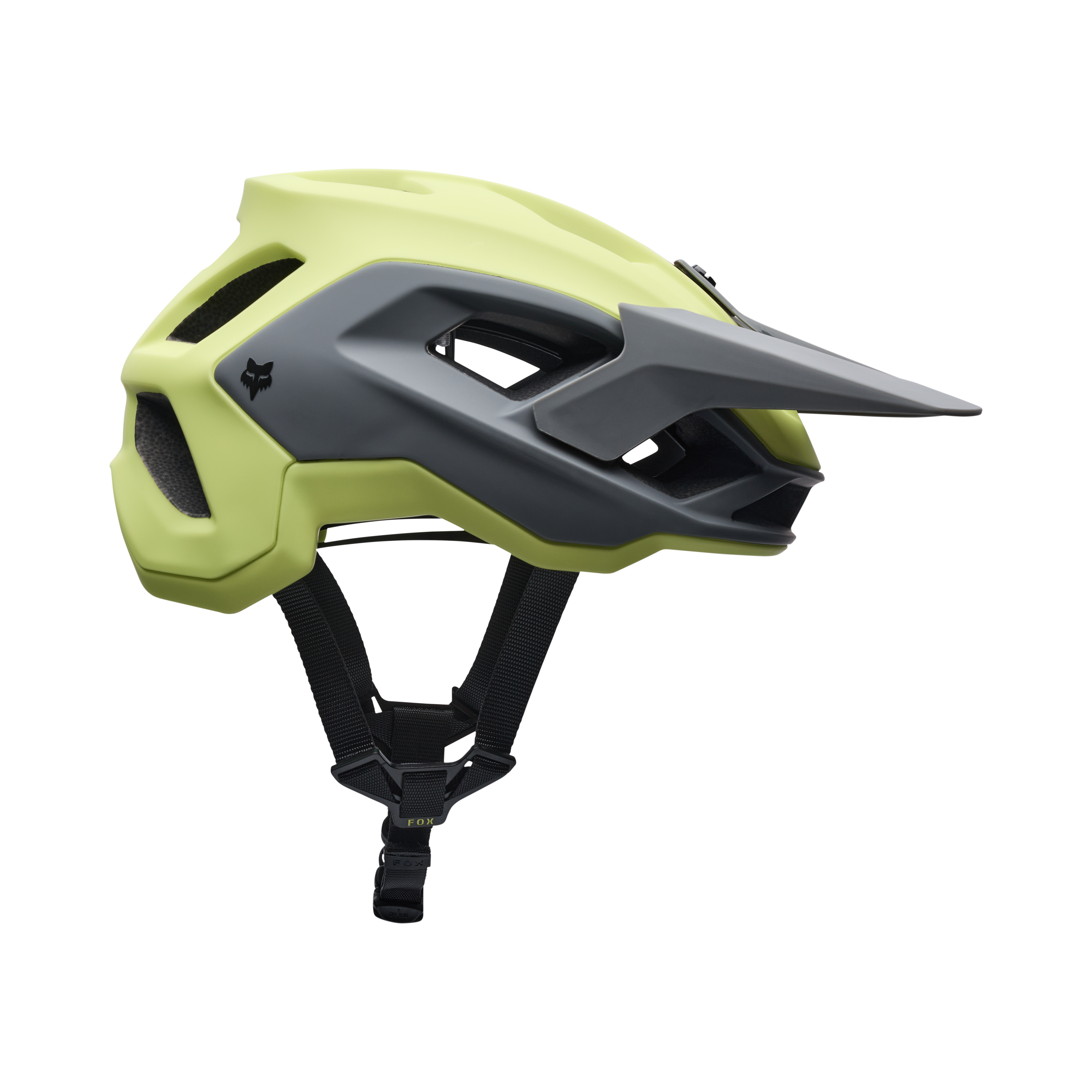 Speedframe - 5050