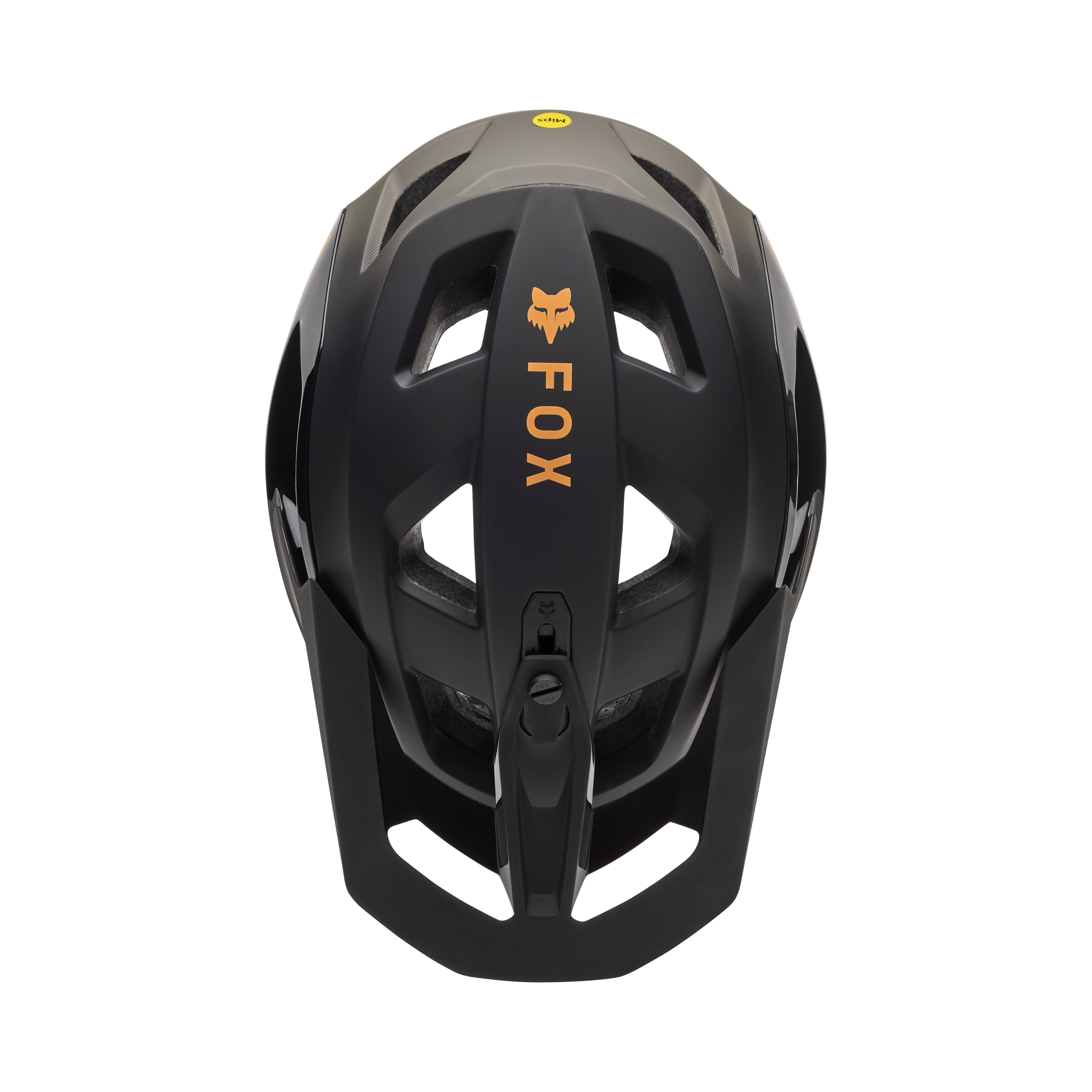 Speedframe Pro - Backfade