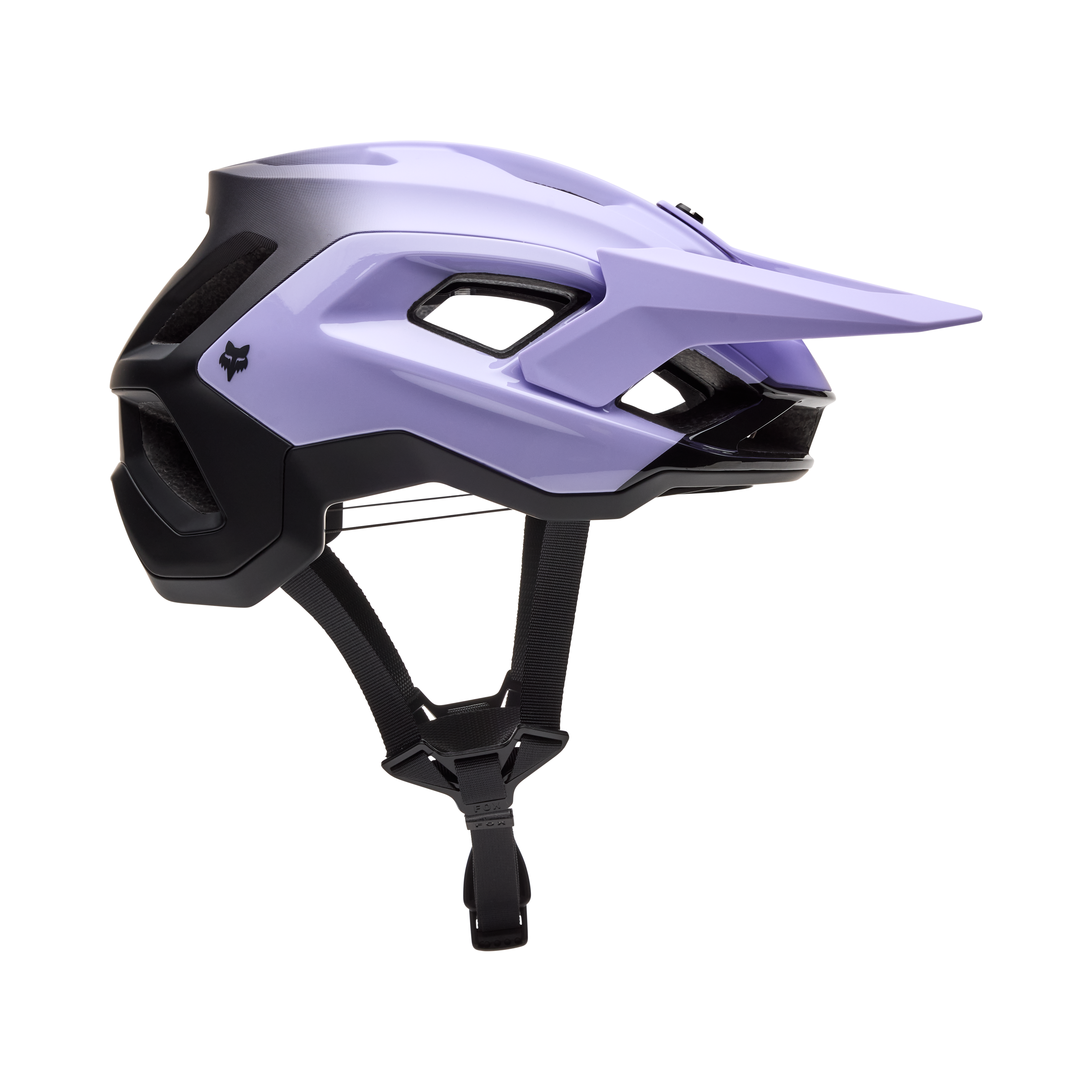 Speedframe Pro - Backfade