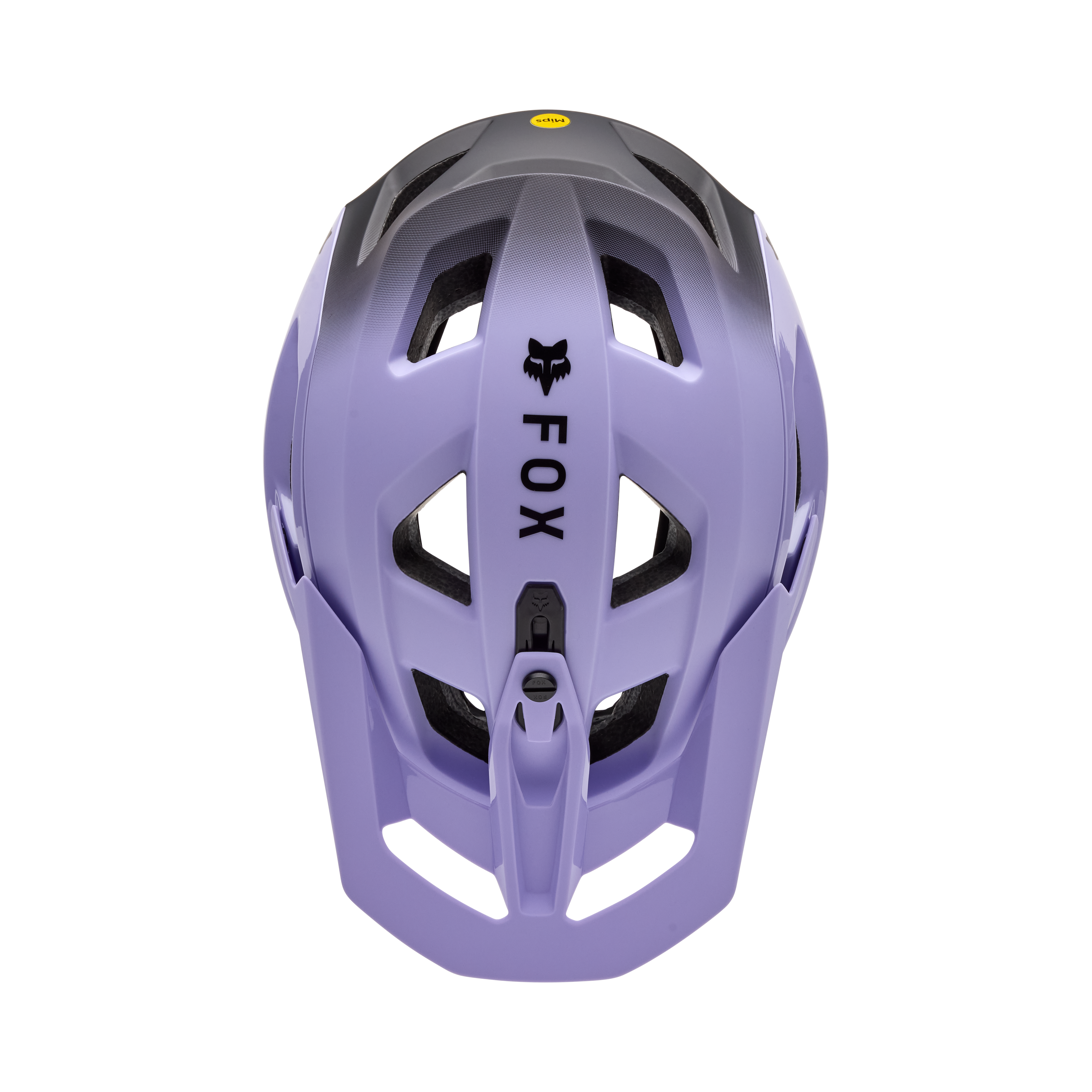 Speedframe Pro - Backfade