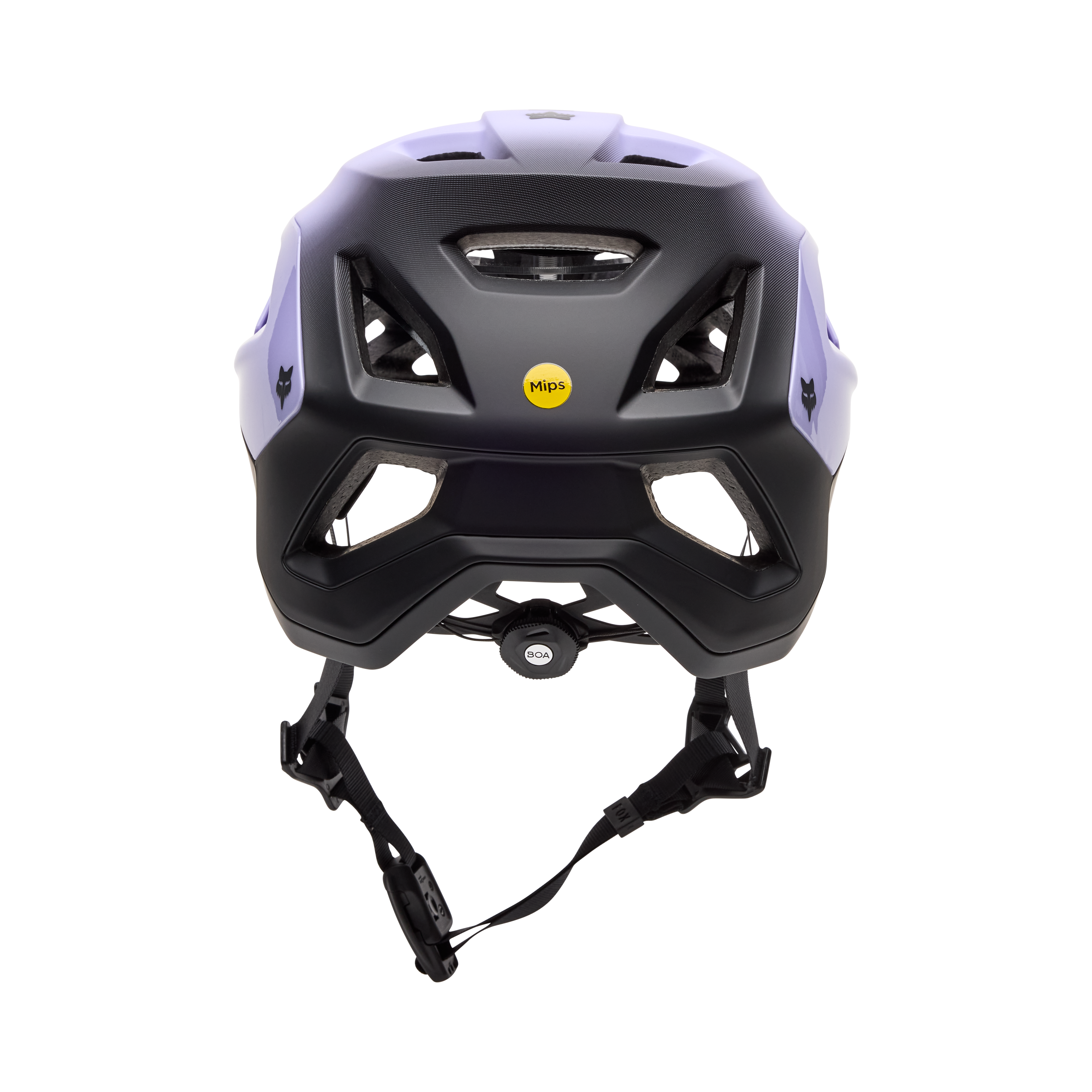 Speedframe Pro - Backfade
