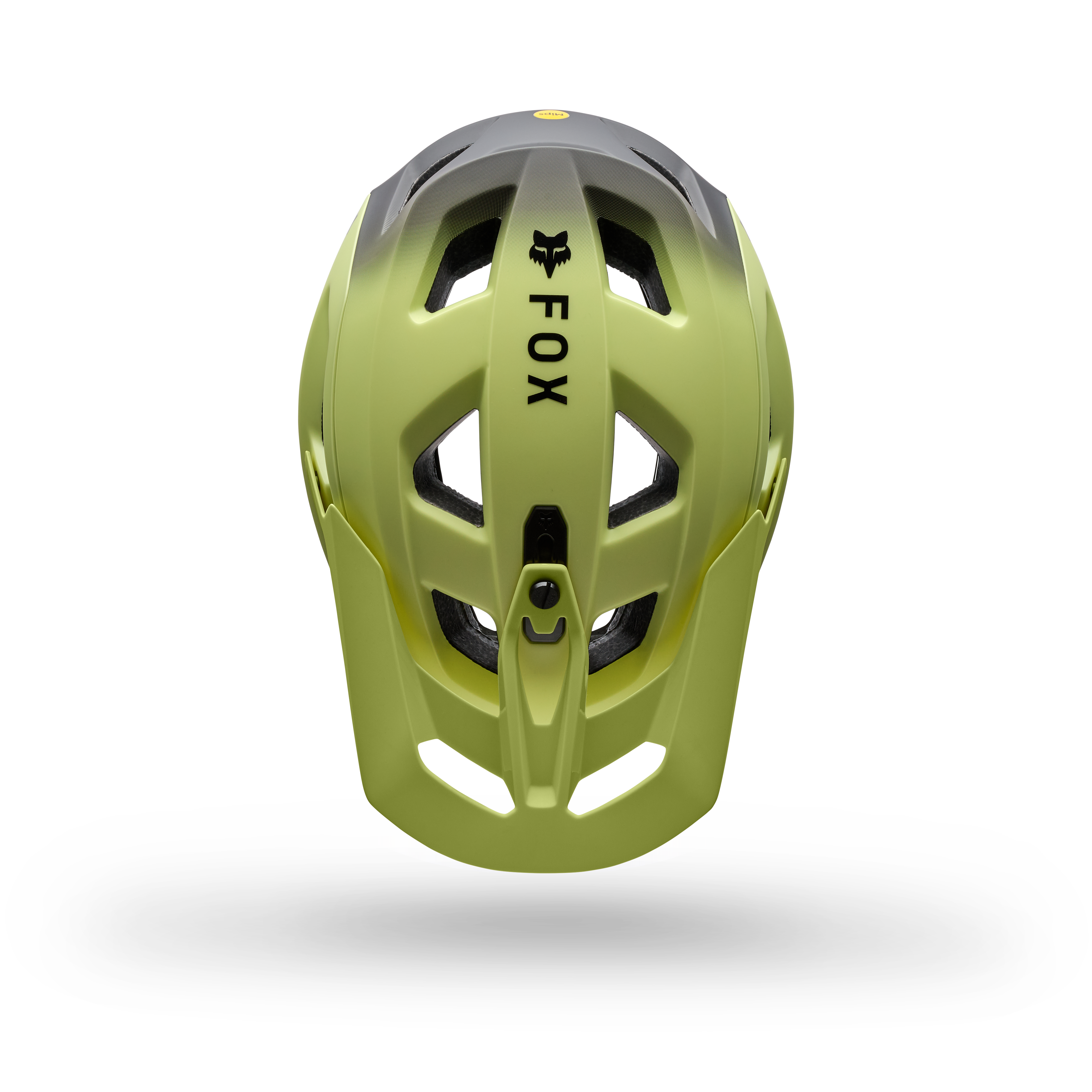 Speedframe Pro - Backfade