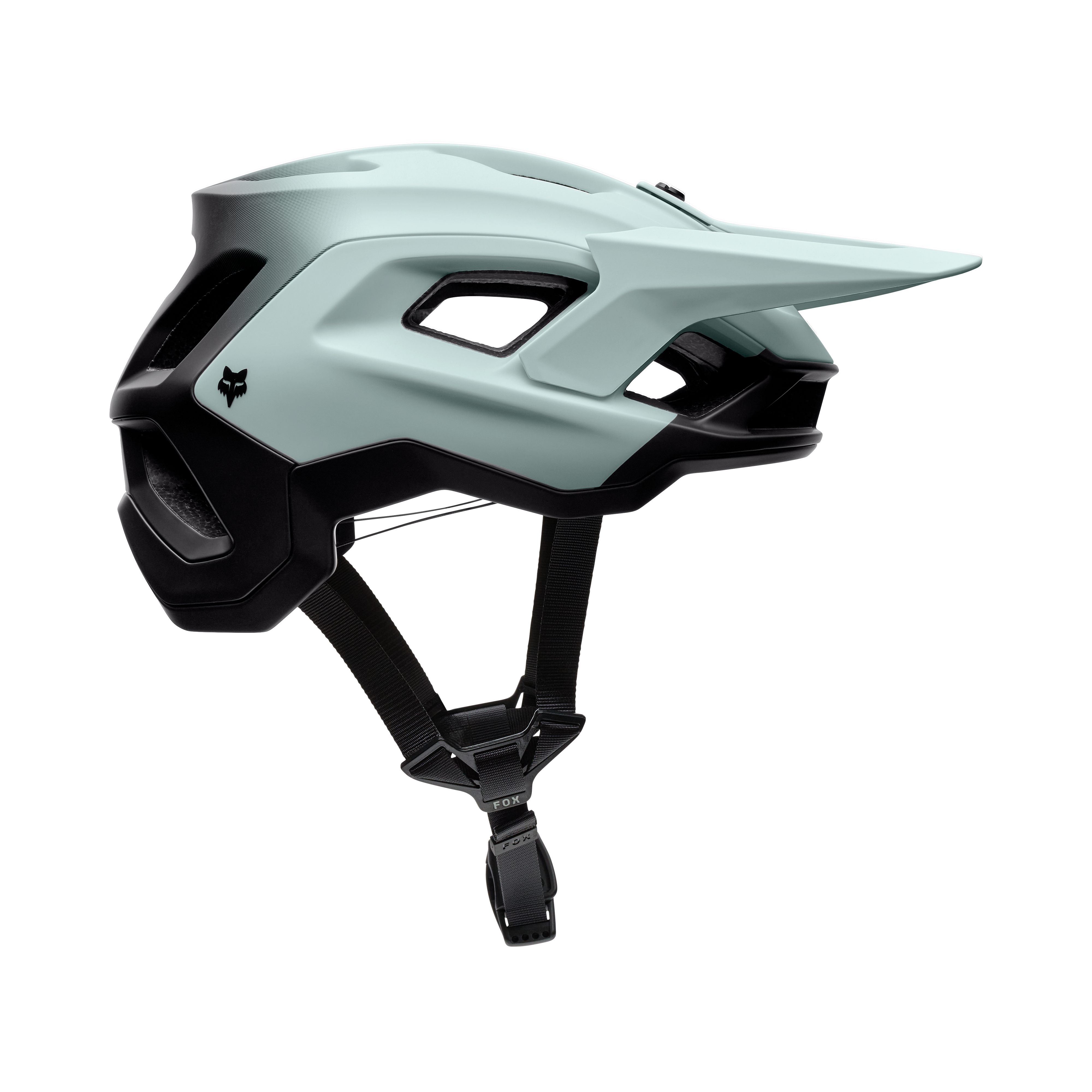 Speedframe Pro - Backfade