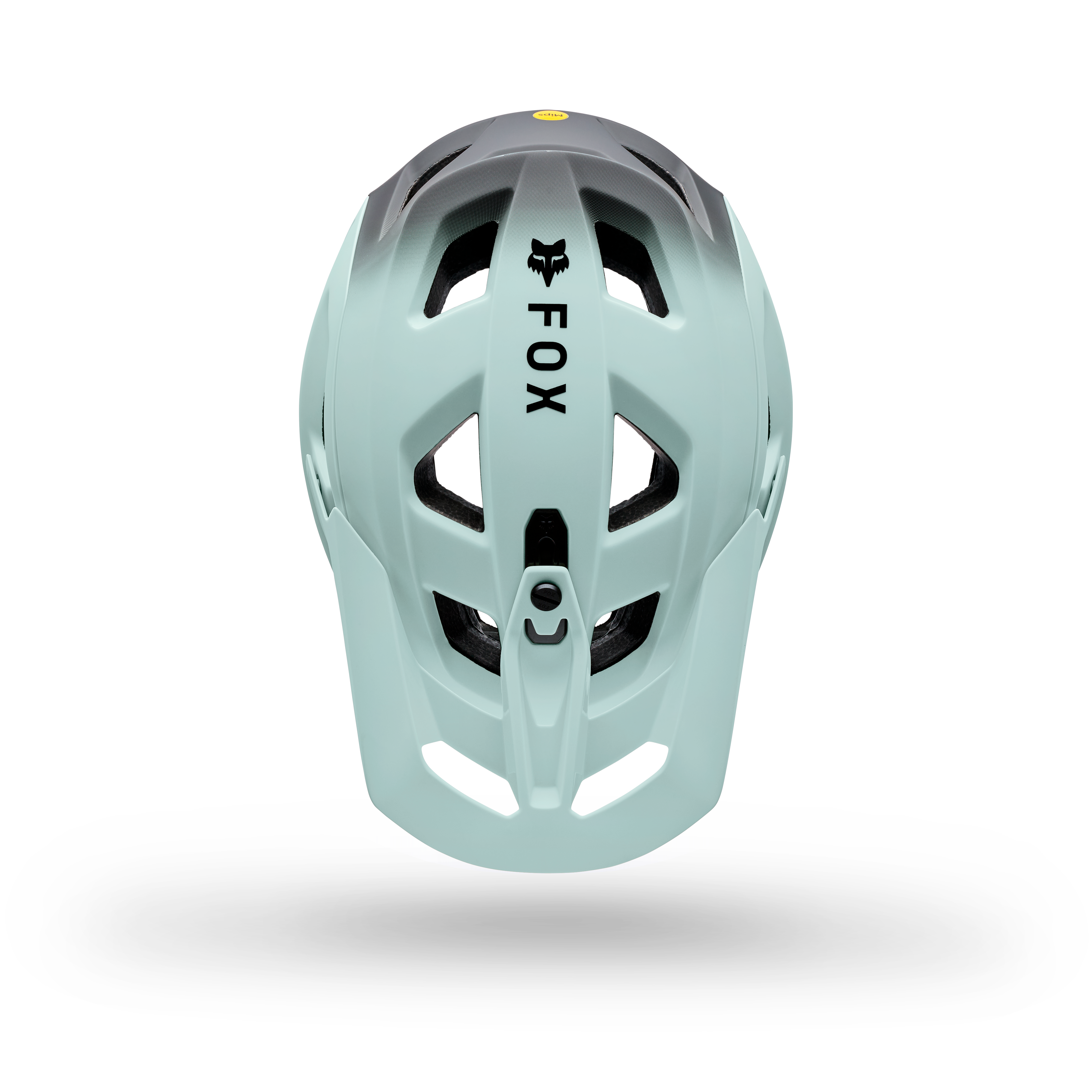 Speedframe Pro - Backfade