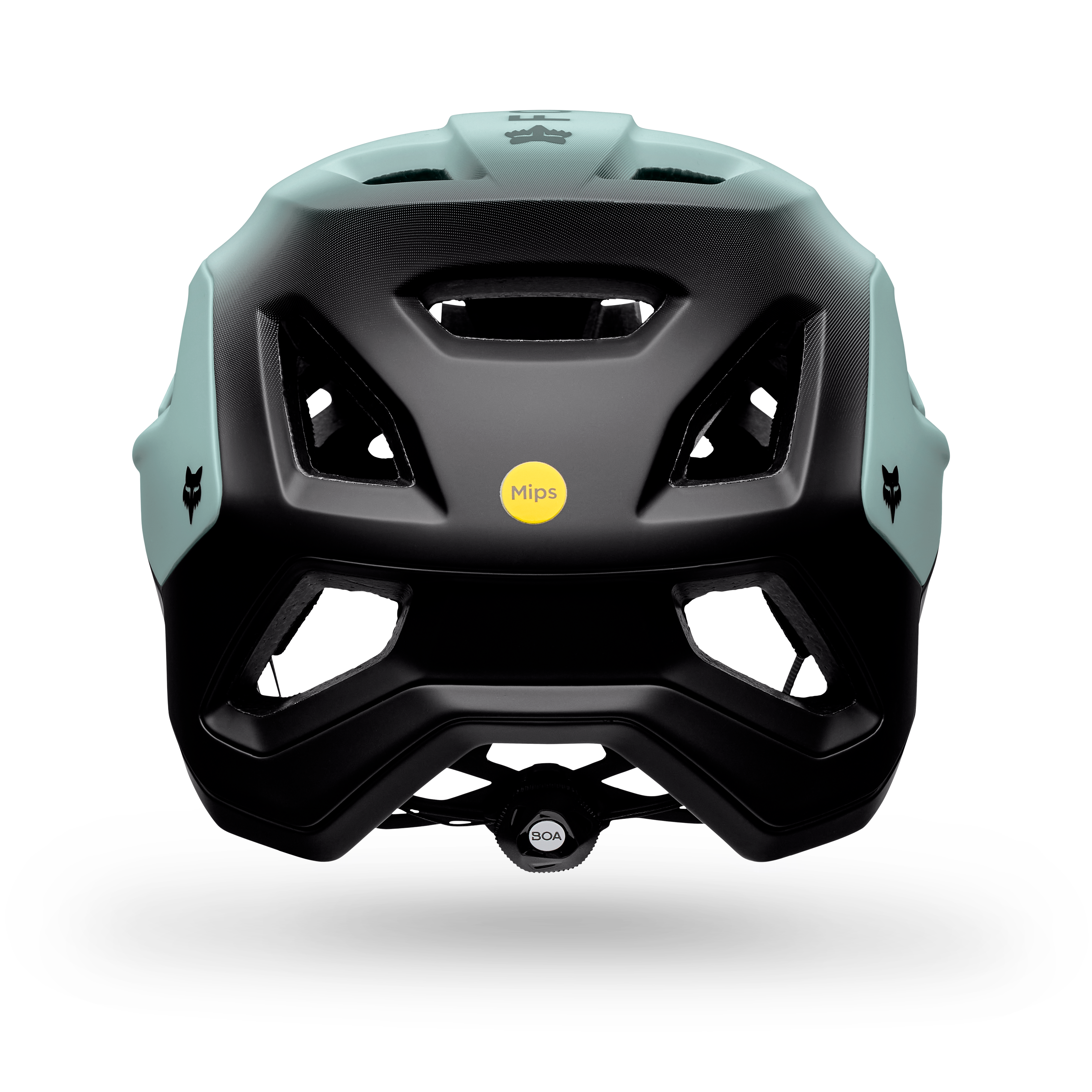 Speedframe Pro - Backfade