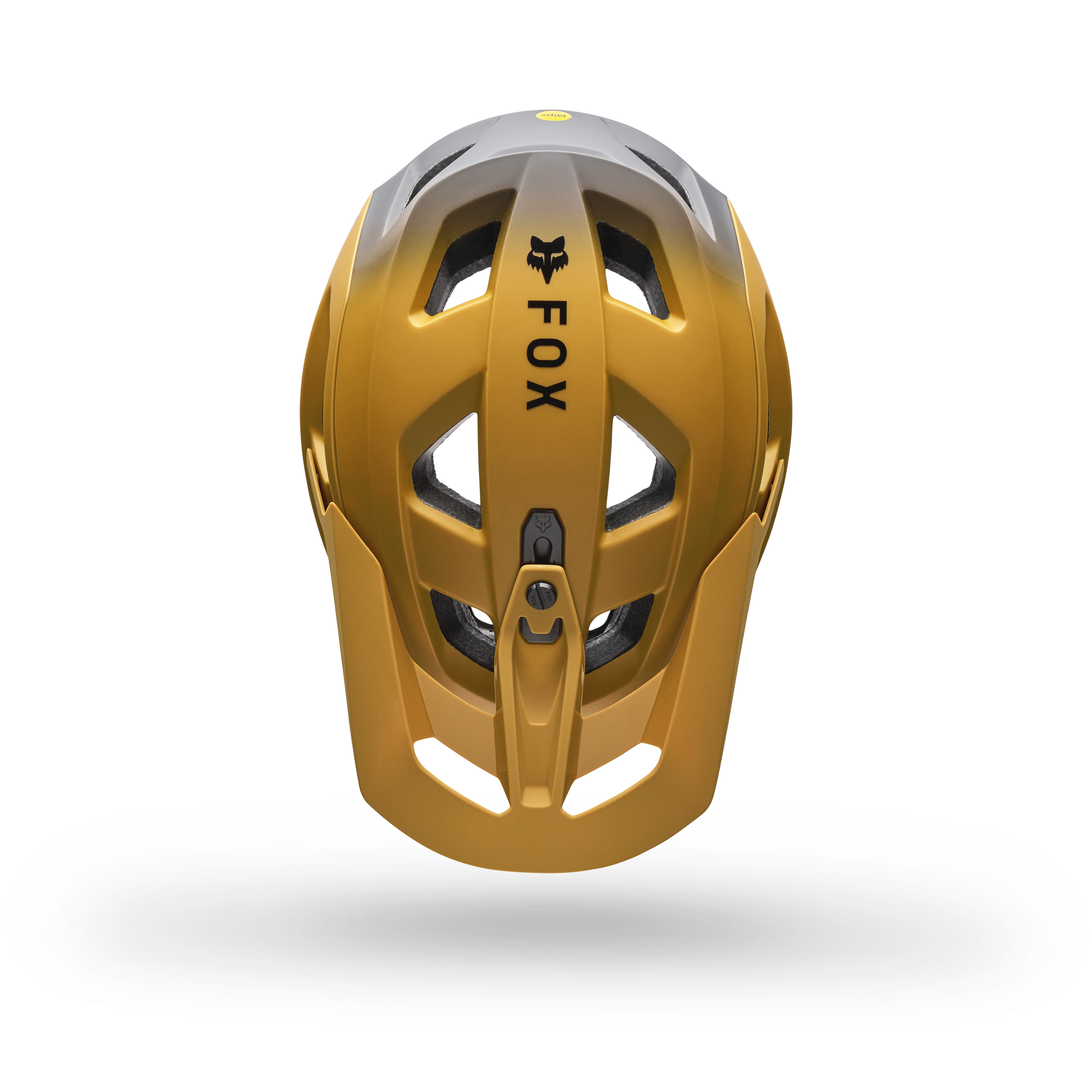 Speedframe Pro - Backfade