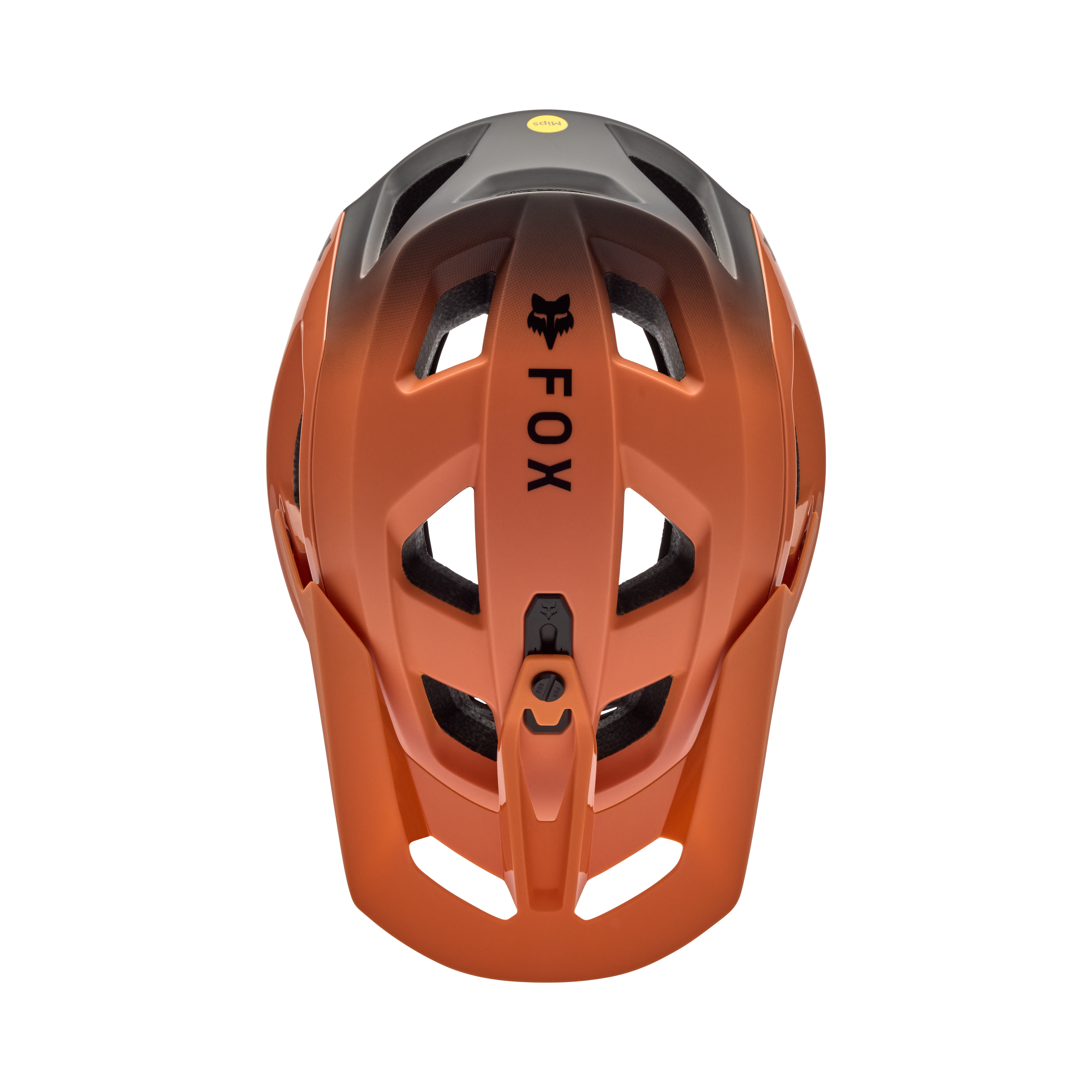 Speedframe Pro - Backfade