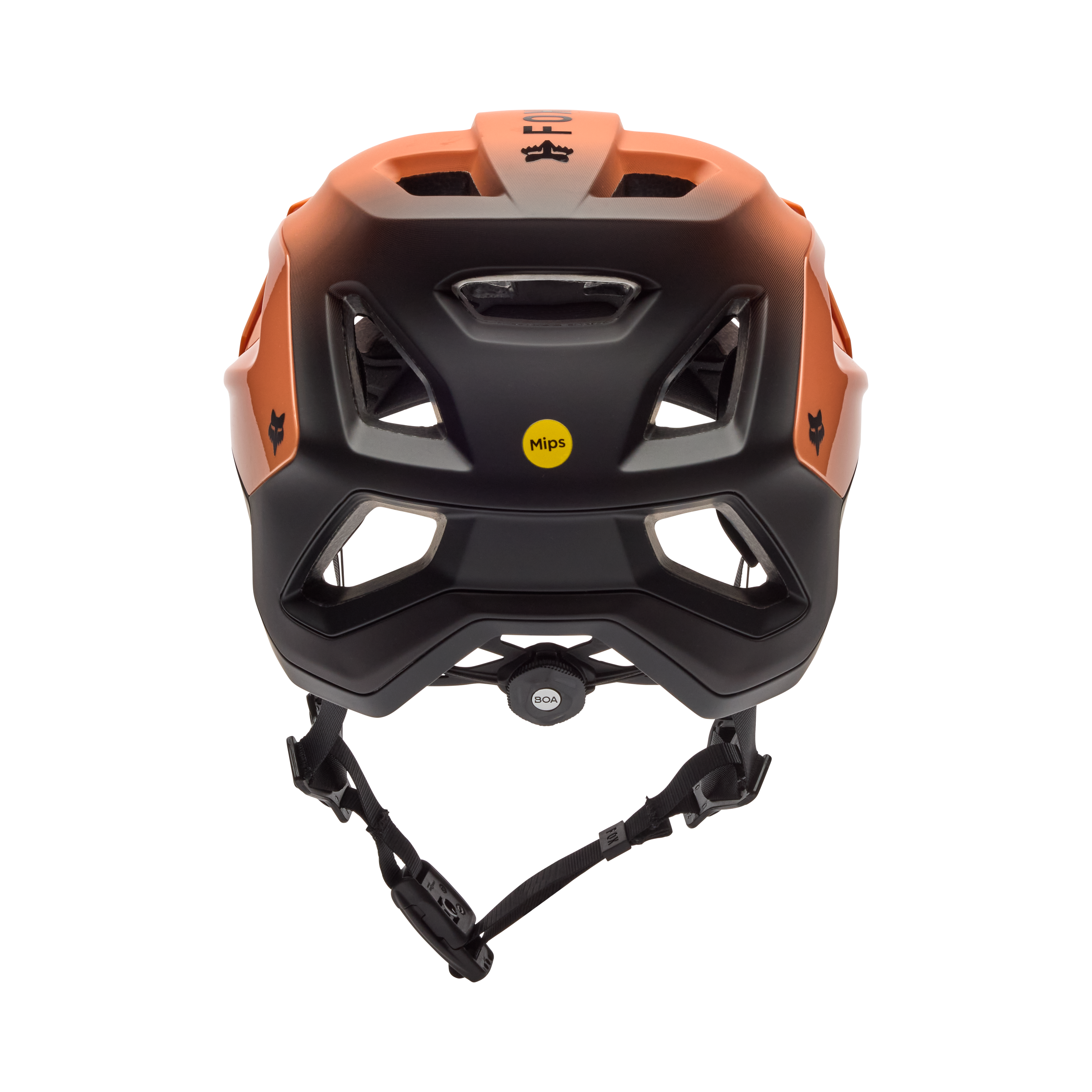 Speedframe Pro - Backfade