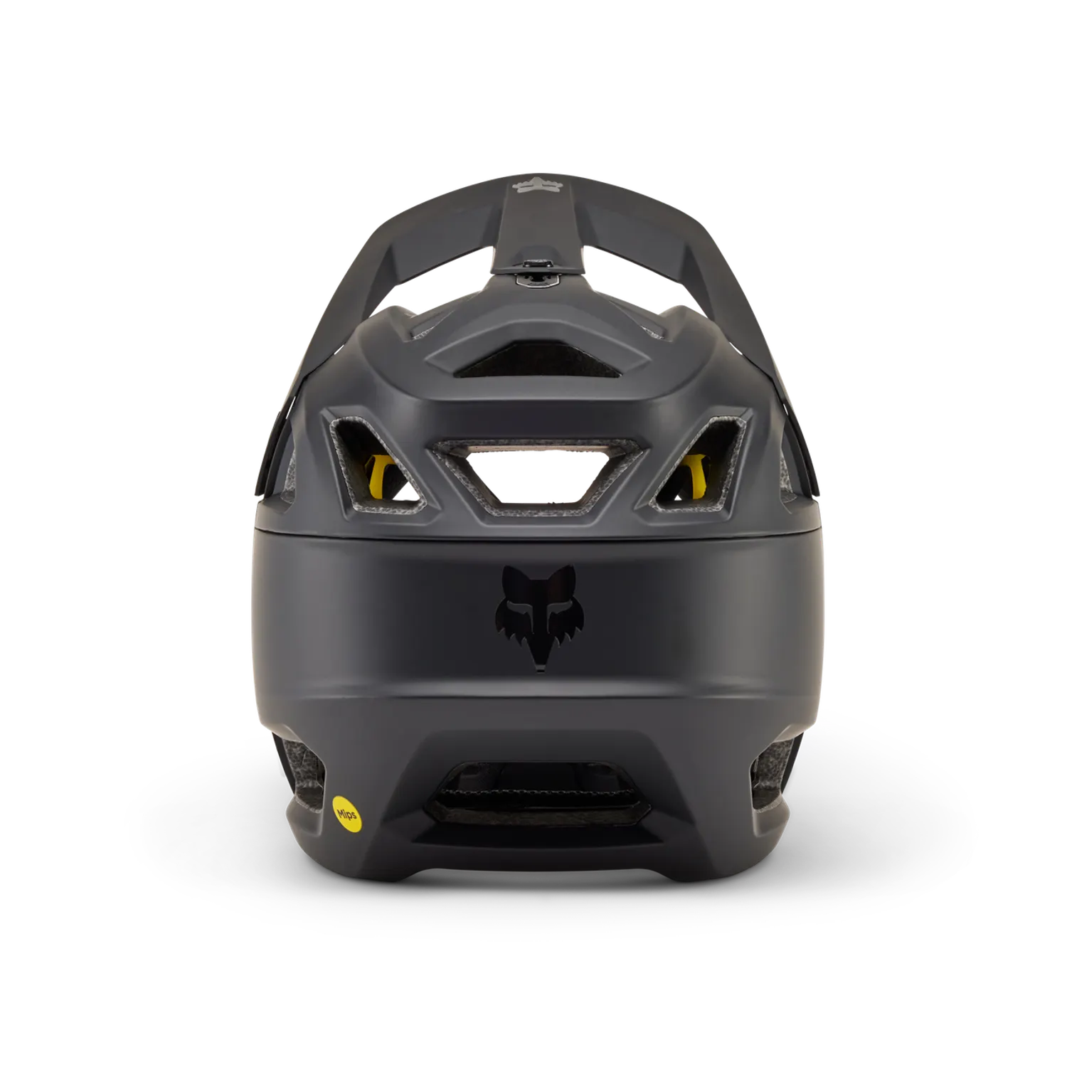 Proframe Full Face Helmet