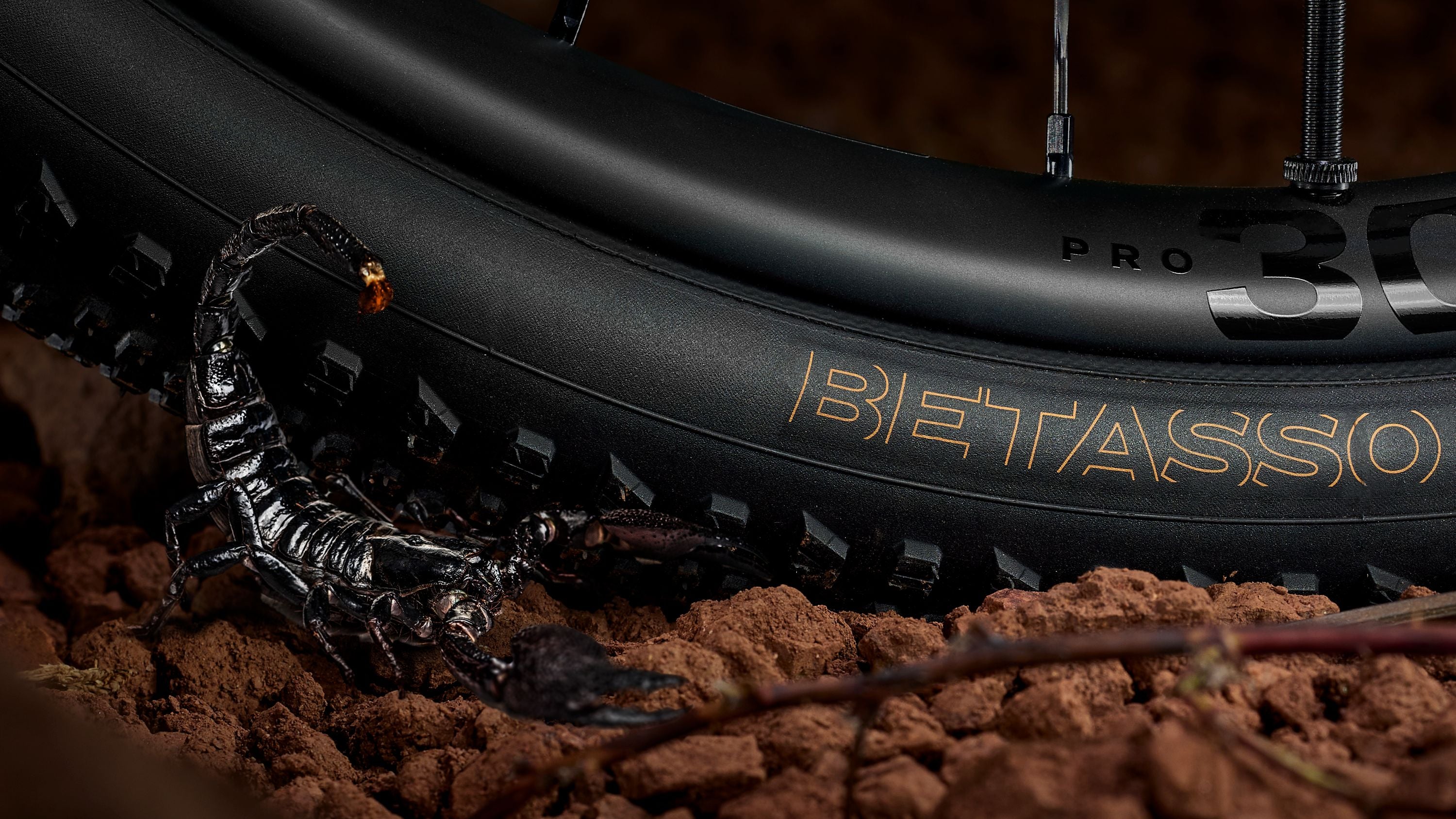 Bontrager Betasso RSL GX TLR Gravel Tire