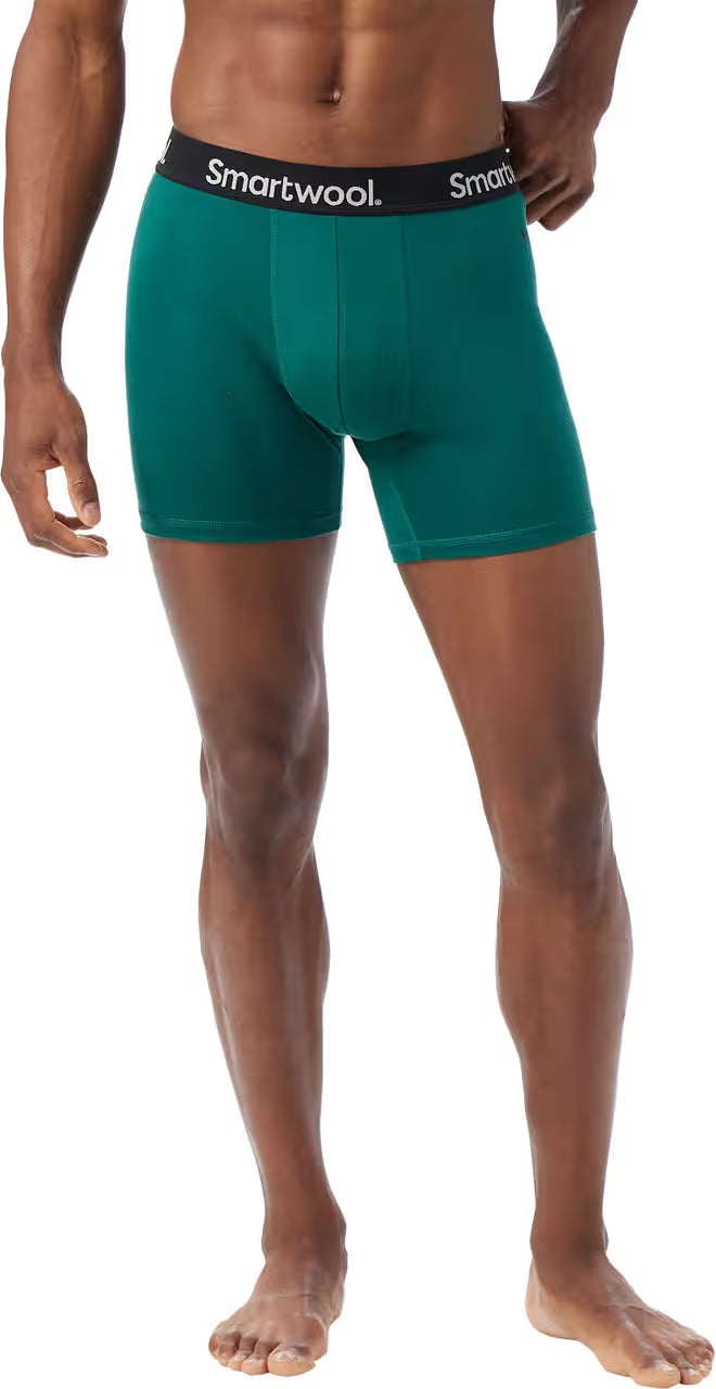 Mens Everyday Merino Boxer Brief Boxed