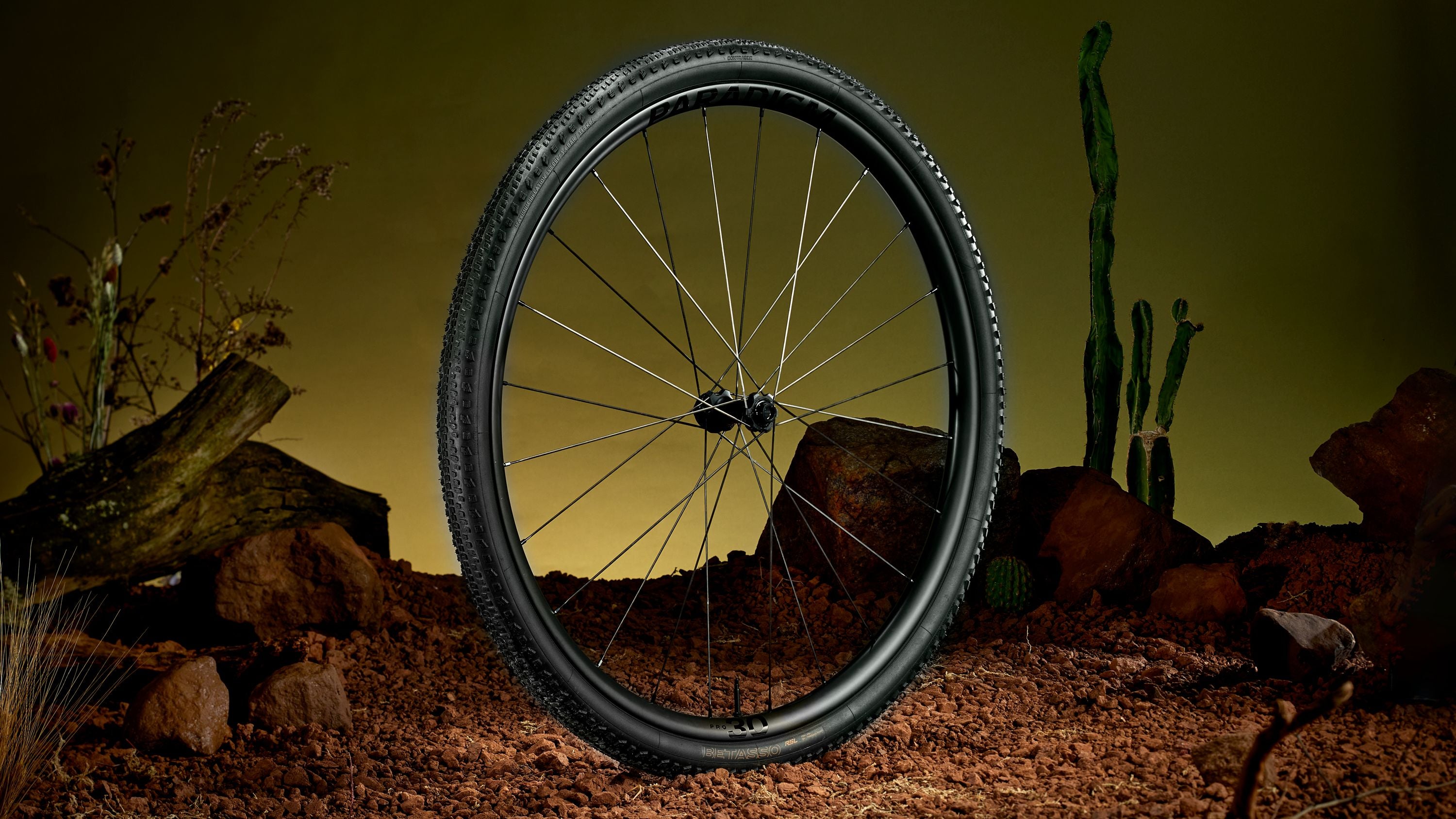 Bontrager Betasso RSL GX TLR Gravel Tire