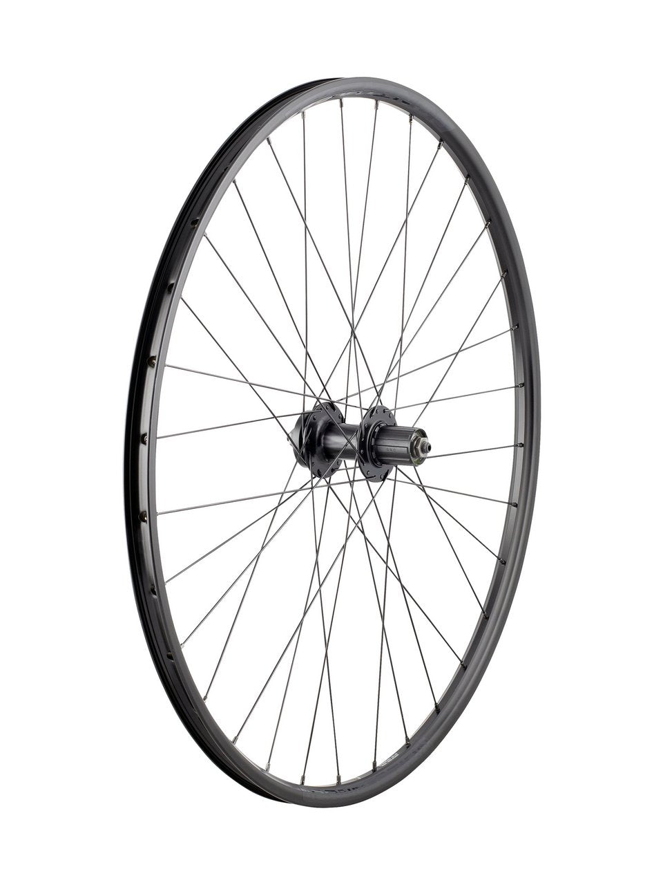 Bontrager Connection QR 6-Bolt Disc 29" Wheel