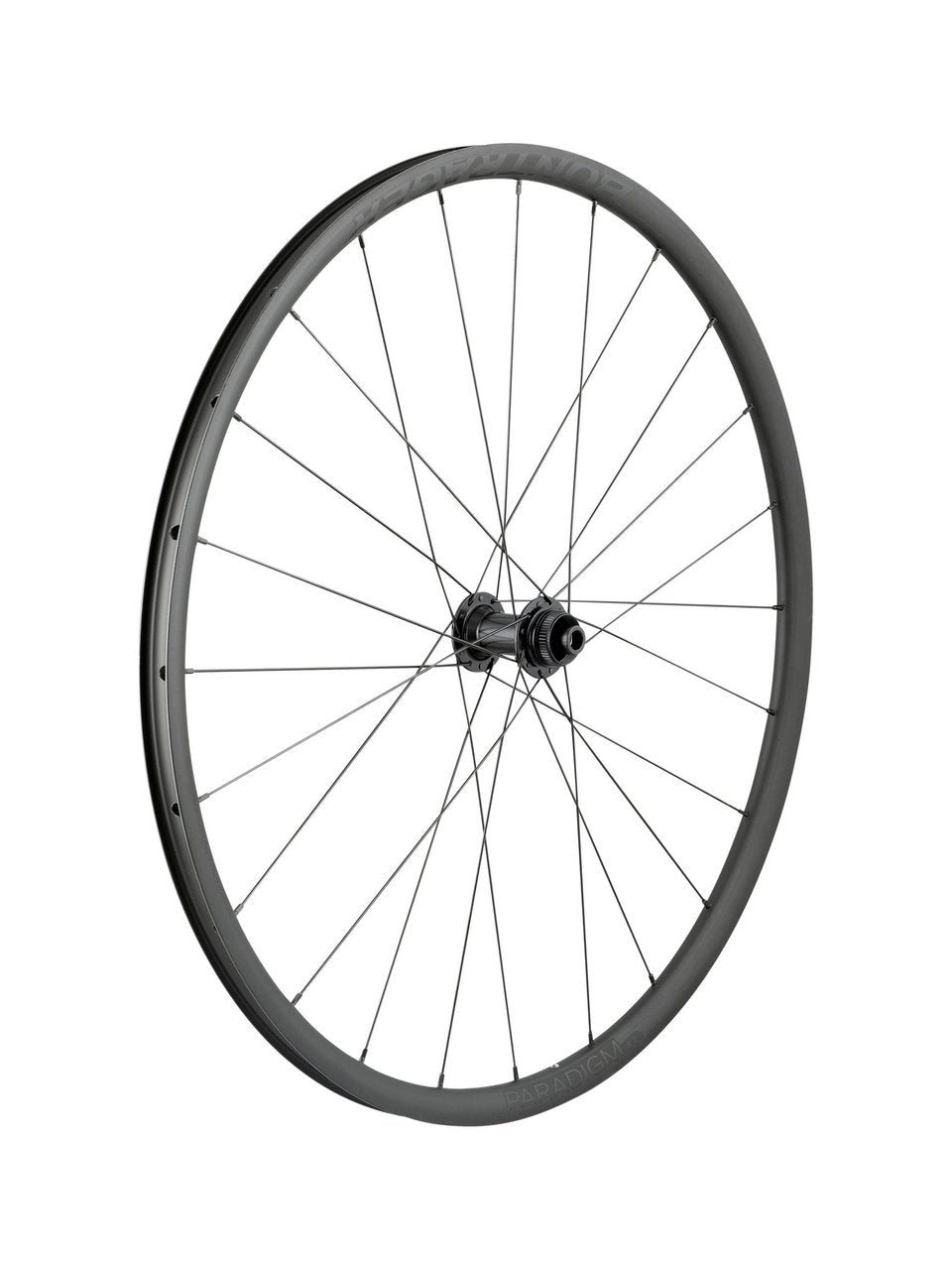 Bontrager Paradigm SL Centerlock Disc 24H Silver Nipples 700c Road Wheel