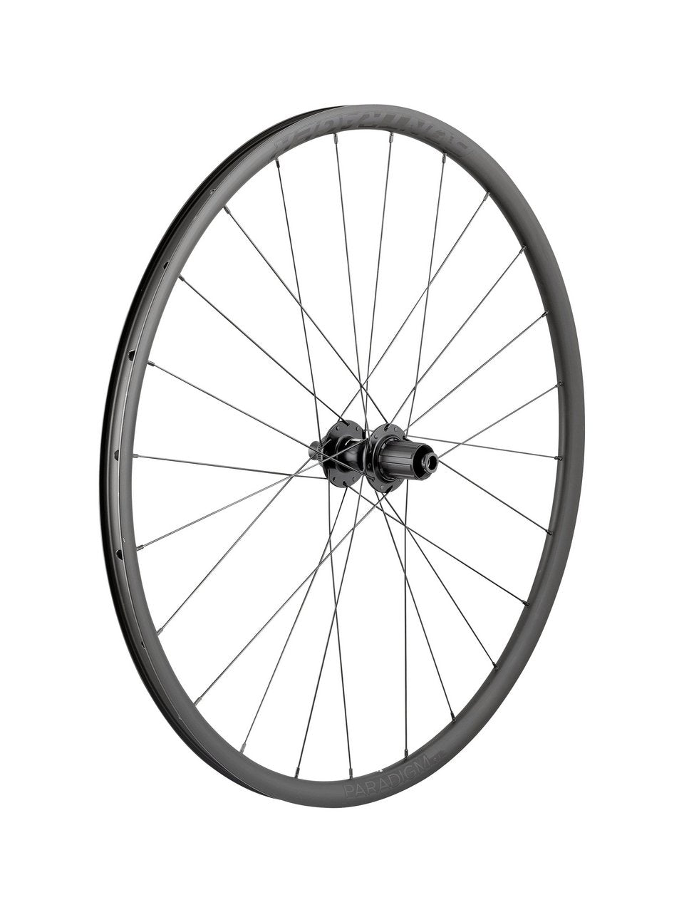 Bontrager Paradigm SL Centerlock Disc 24H Silver Nipples 700c Road Wheel