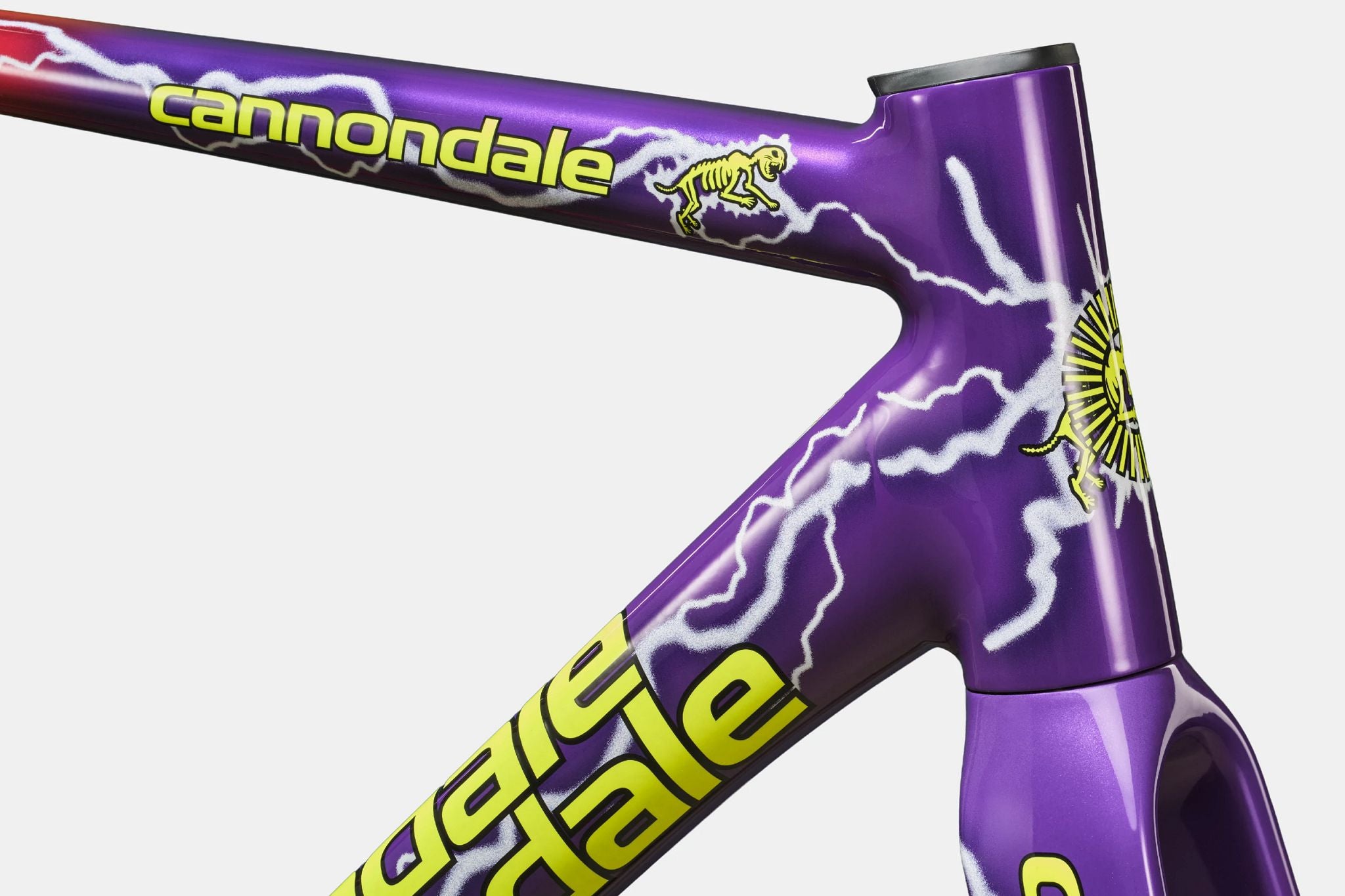 Cannondale x Team Dream CAAD14 frameset