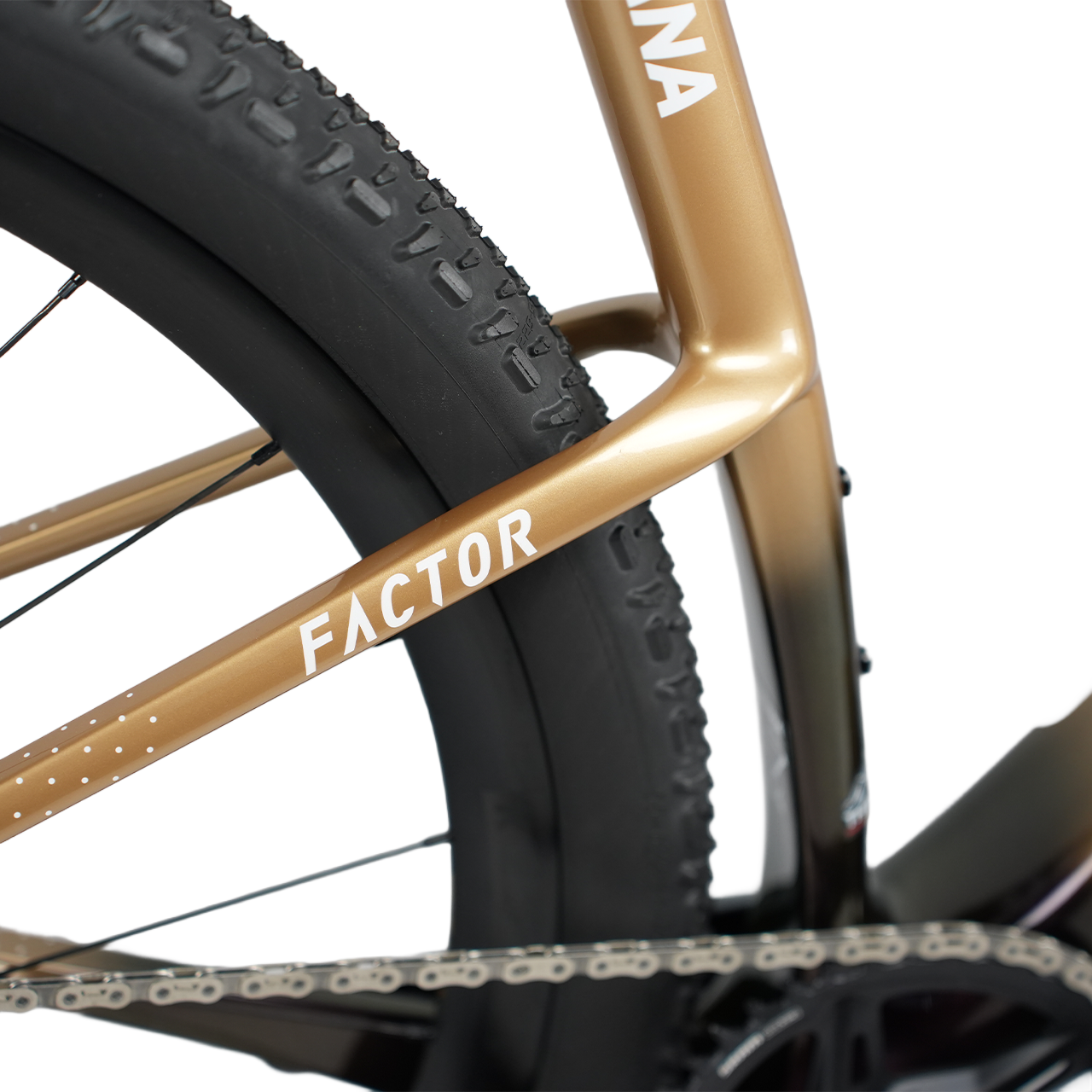 Sarana Custom Rival AXS E1 XPLR