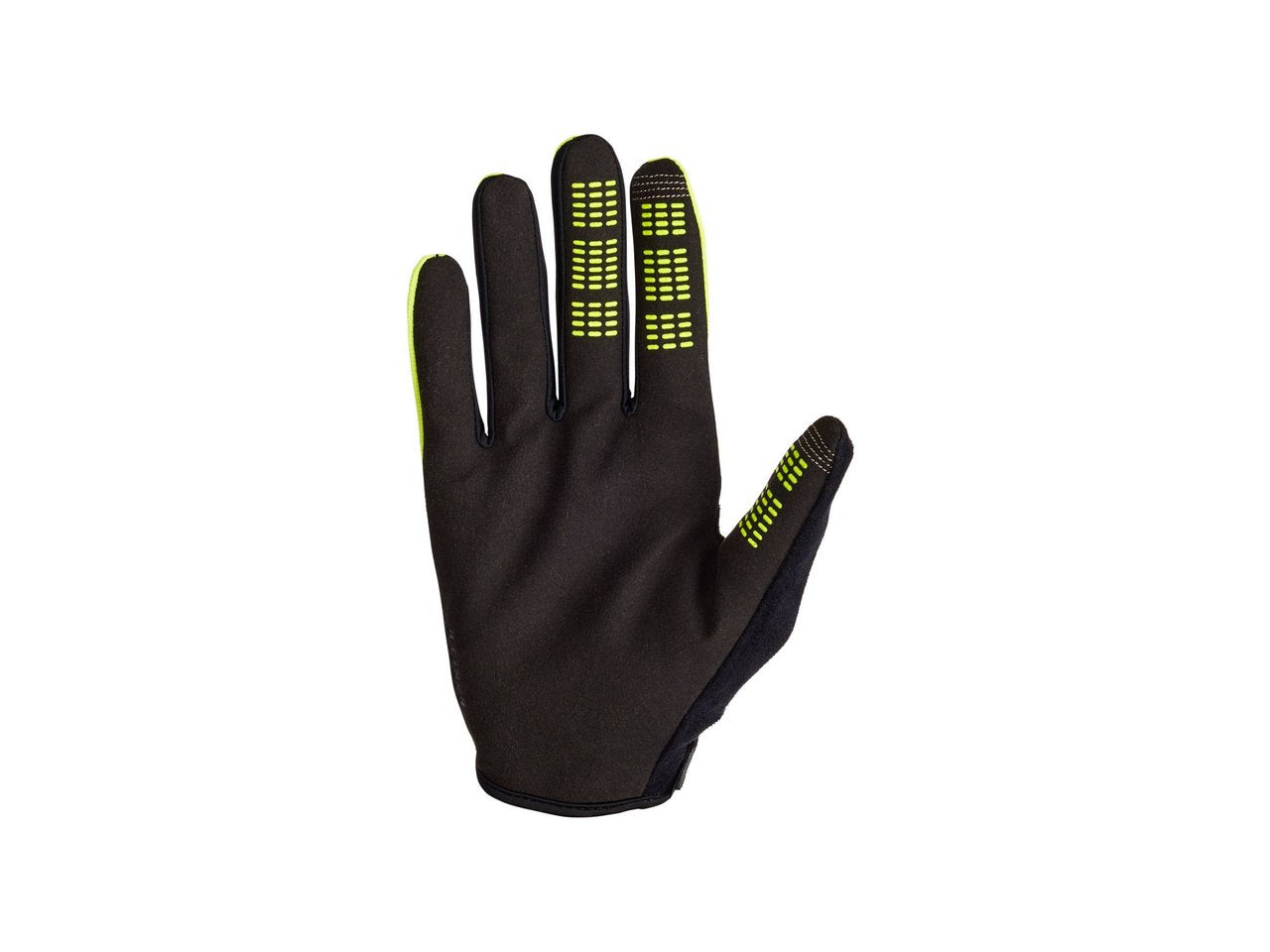 2024 | Ranger Glove