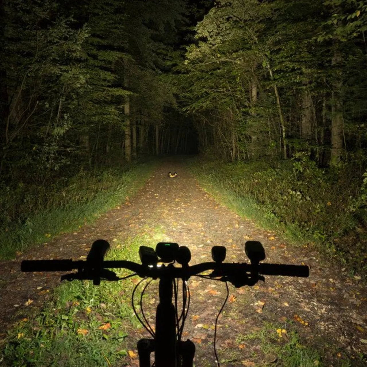 MONTEER 5000S Storm MTB Headlight