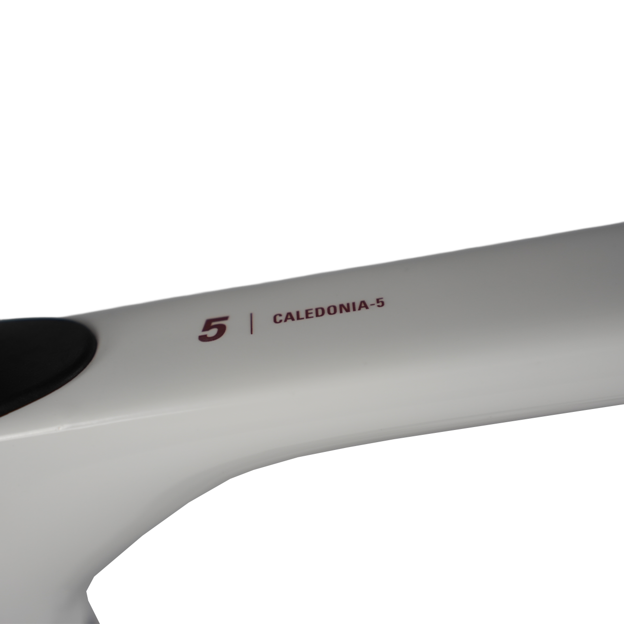 2026 | Custom Caledonia-5 Force AXS E2 | Zipp 303S
